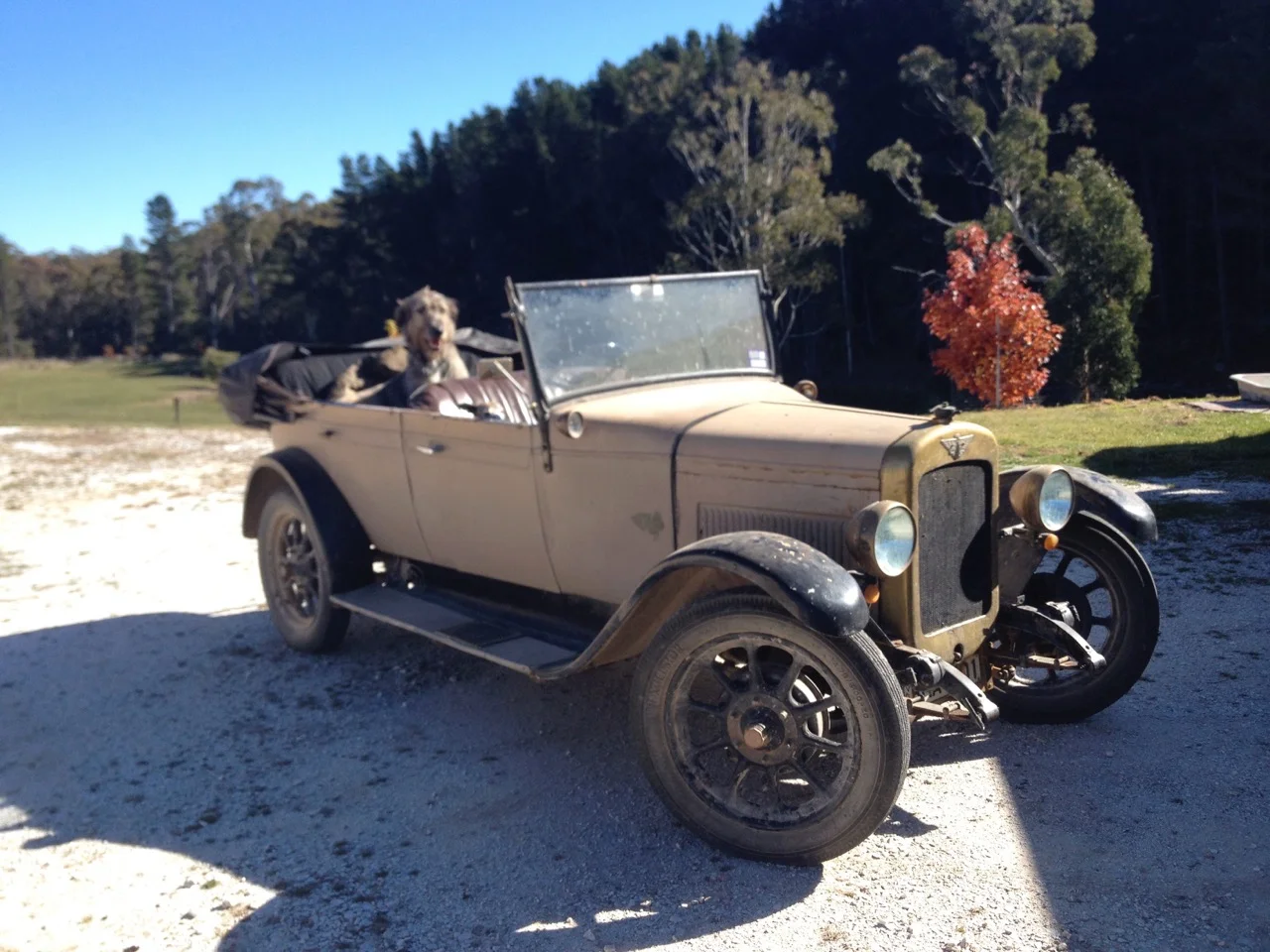 Austin 7 chummy 29 November 2016.jpg