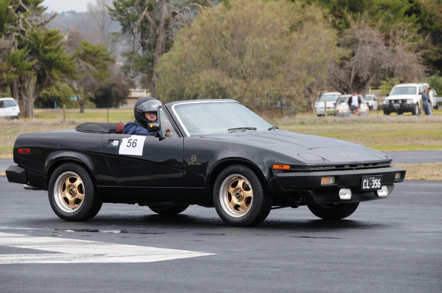508a.jpg