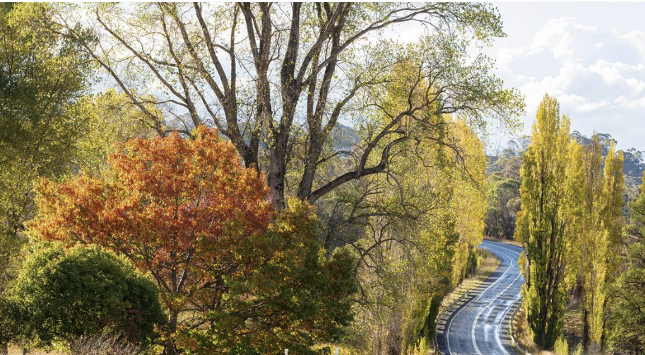 Autumn Leaves Rally at Gunnedah