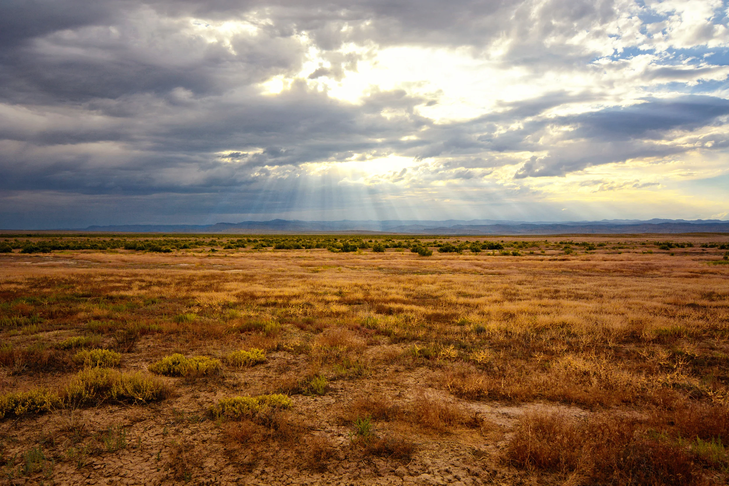 light fields 2final 2500 72.jpg