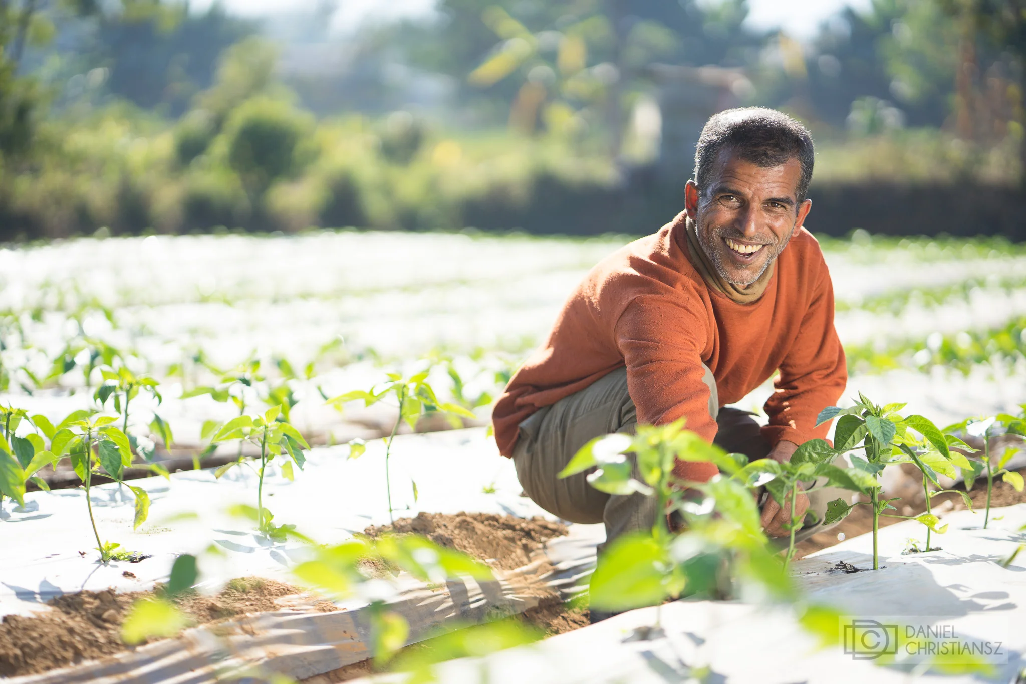 Nepalese Man Growing Vegetables Income Enhancement