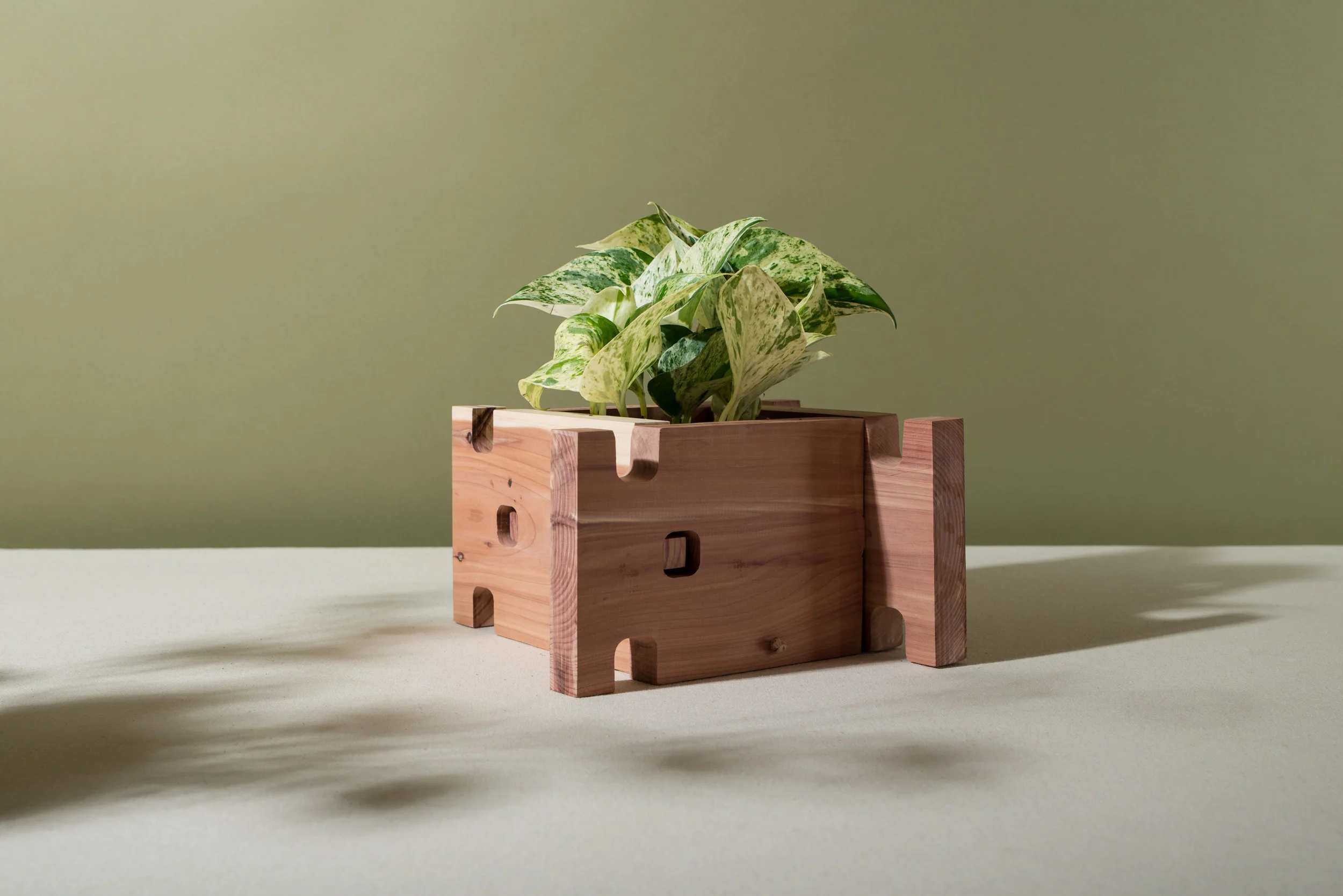 Gardenboxes — Kristen Barry
