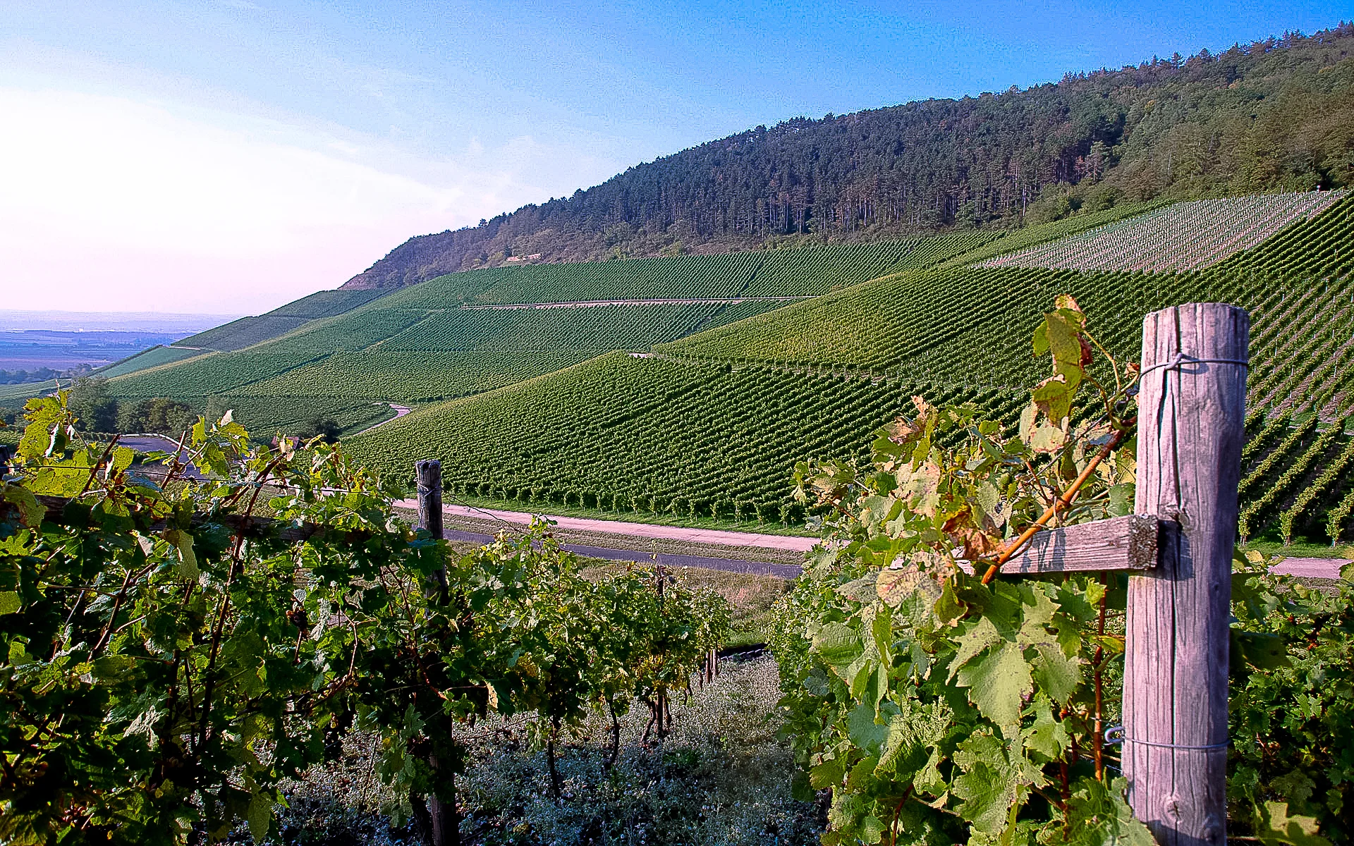 along the Reine river-2.jpg