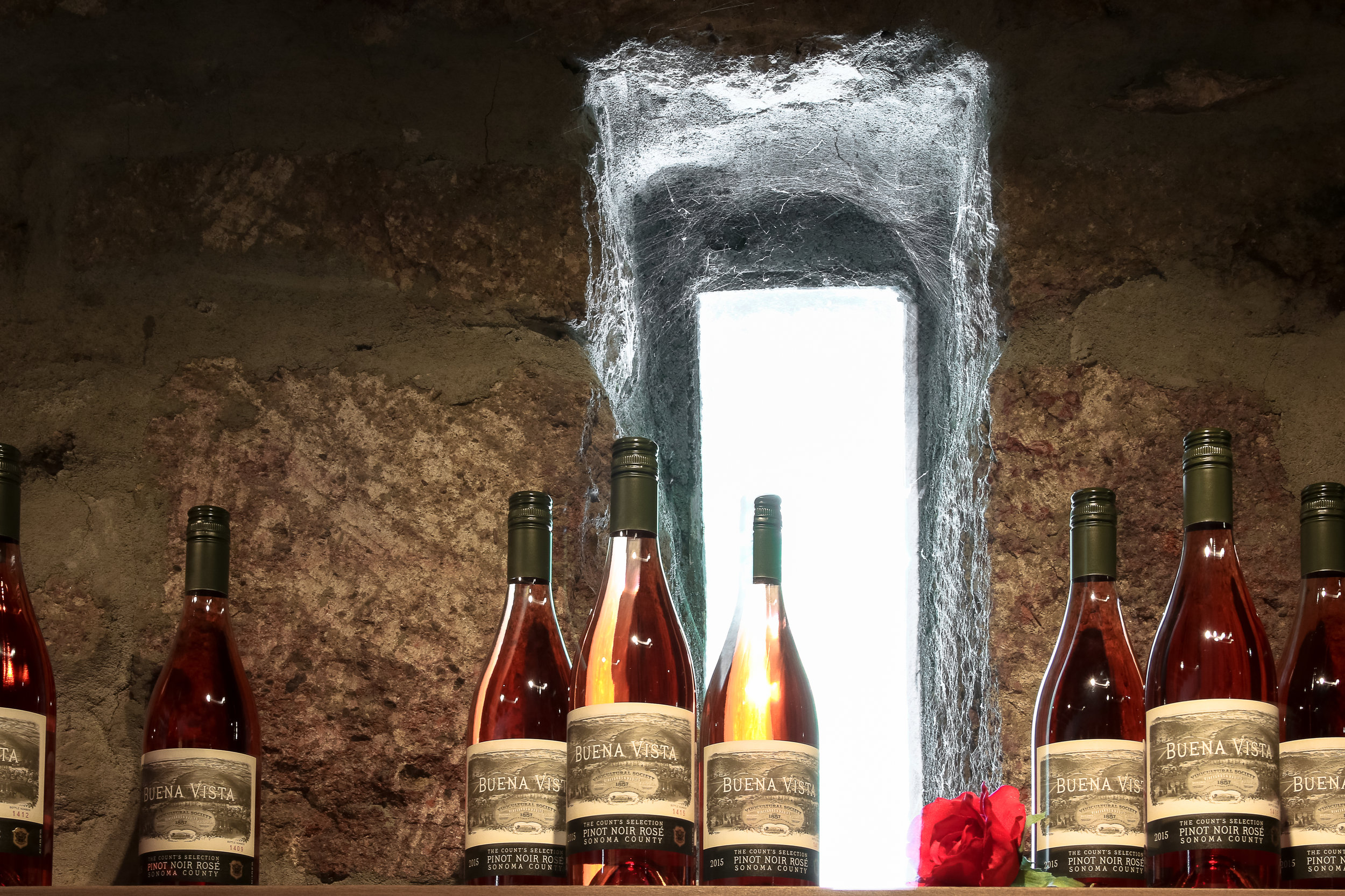 Buena Vista Rose grouping 2 (1)-2.jpg