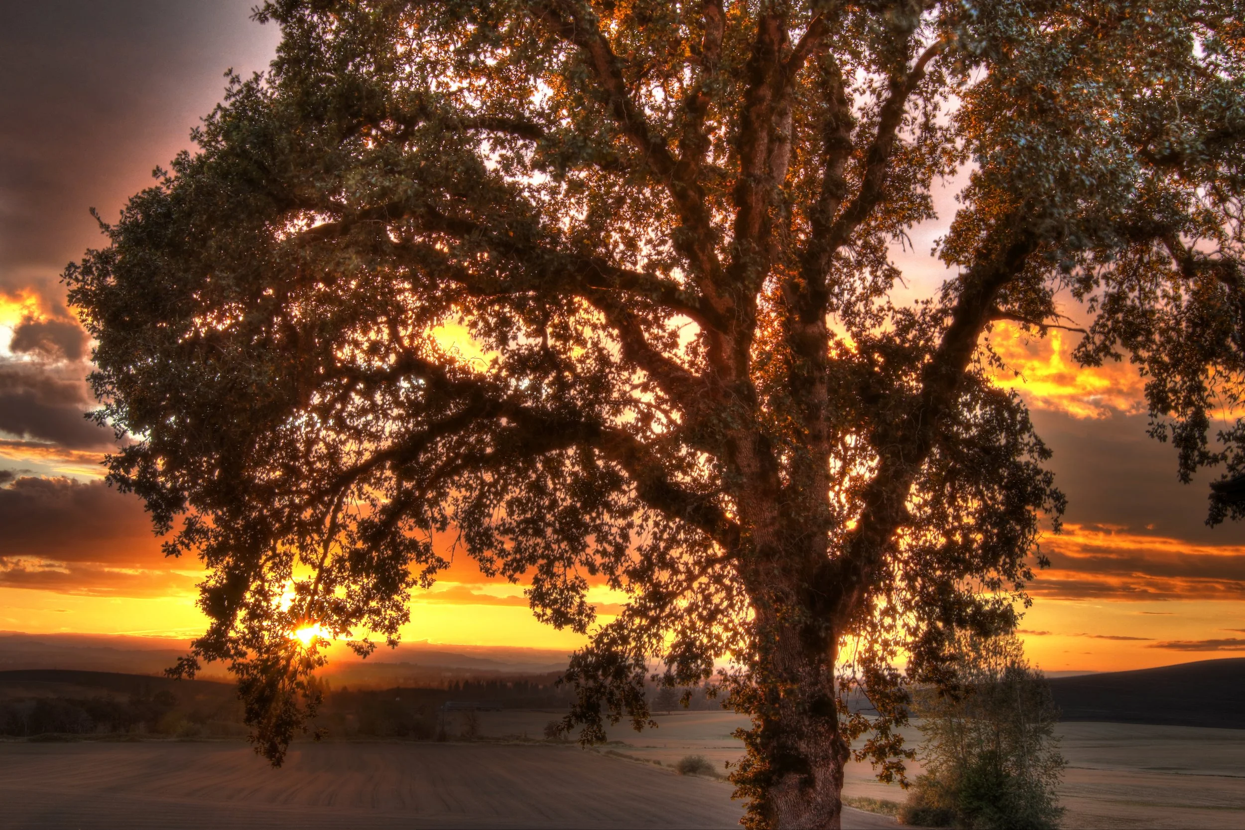 Laborday 2016 Sunset group 6_tonemapped.jpg