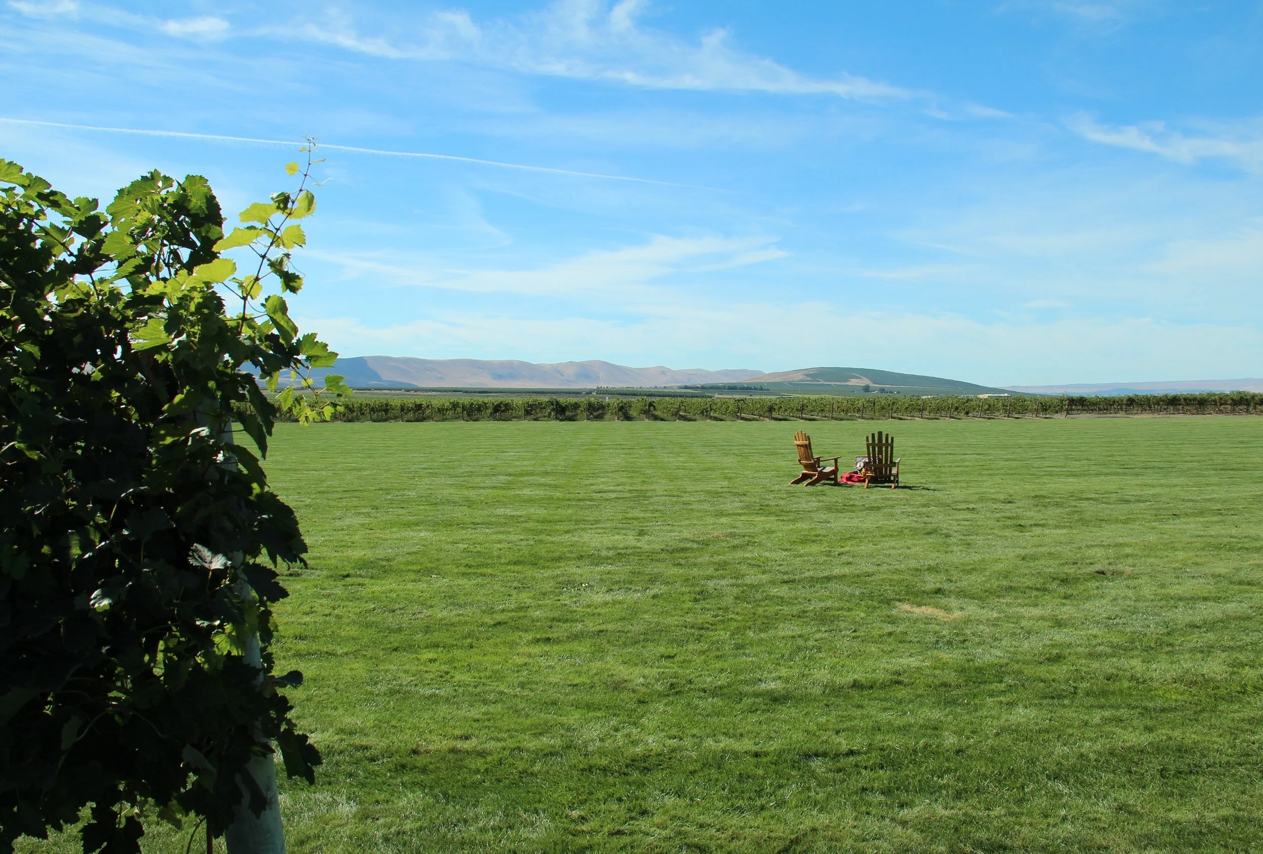 Goose Ridge picnic.JPG