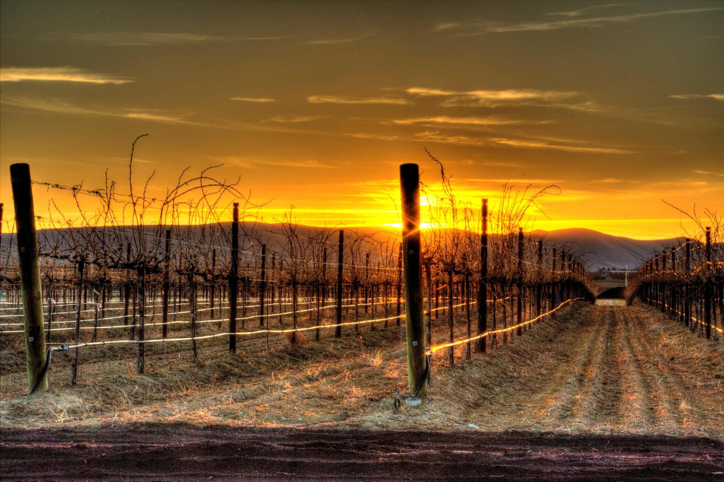 Goose Ridge 16 (1)_2)_3)_tonemapped.jpg