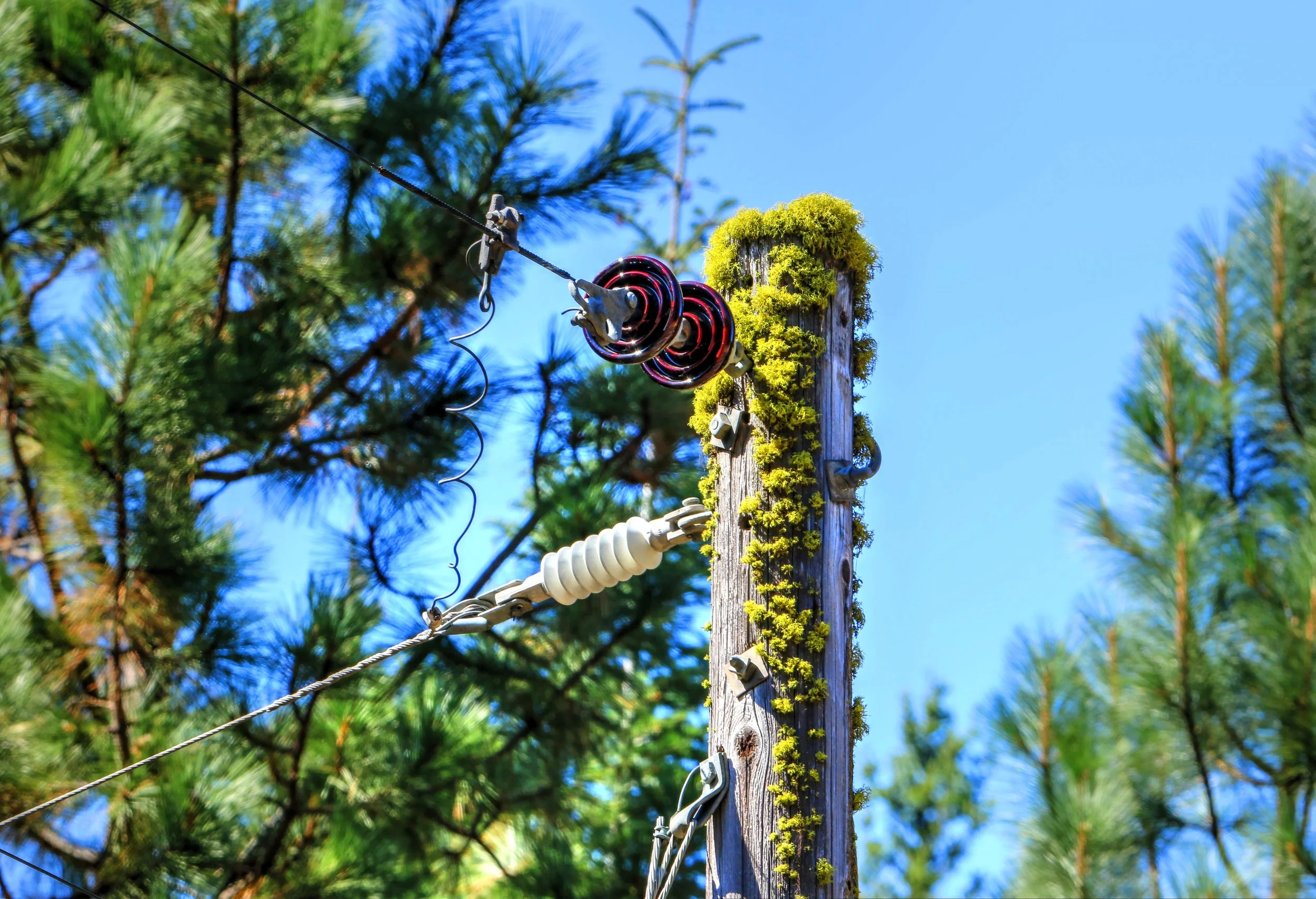 572A0105_tonemapped 2.jpg