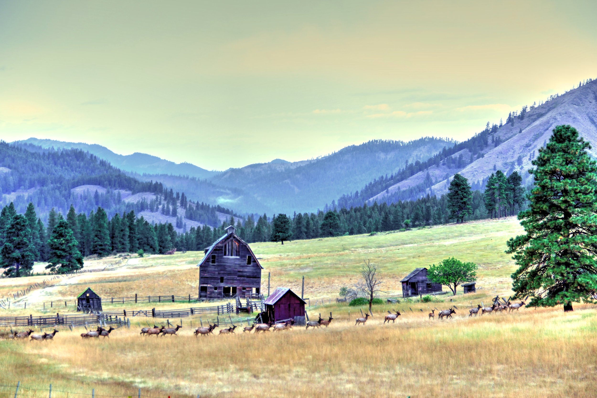 Bedding down (3).jpg