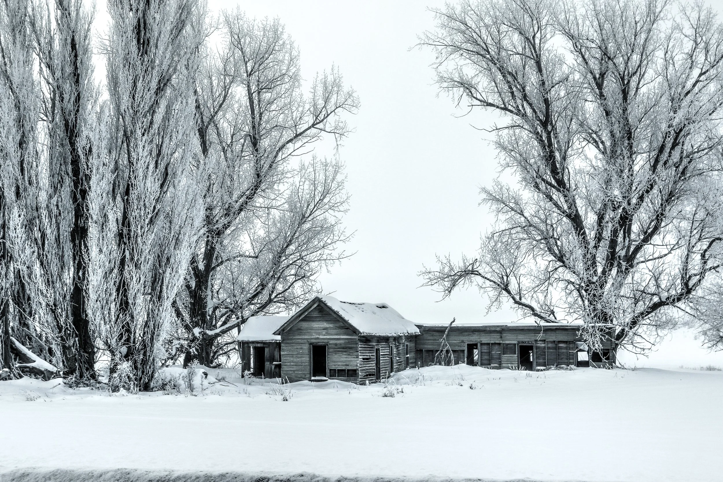 Homestead on Watervile Plateau 1 lightened jpg.jpg