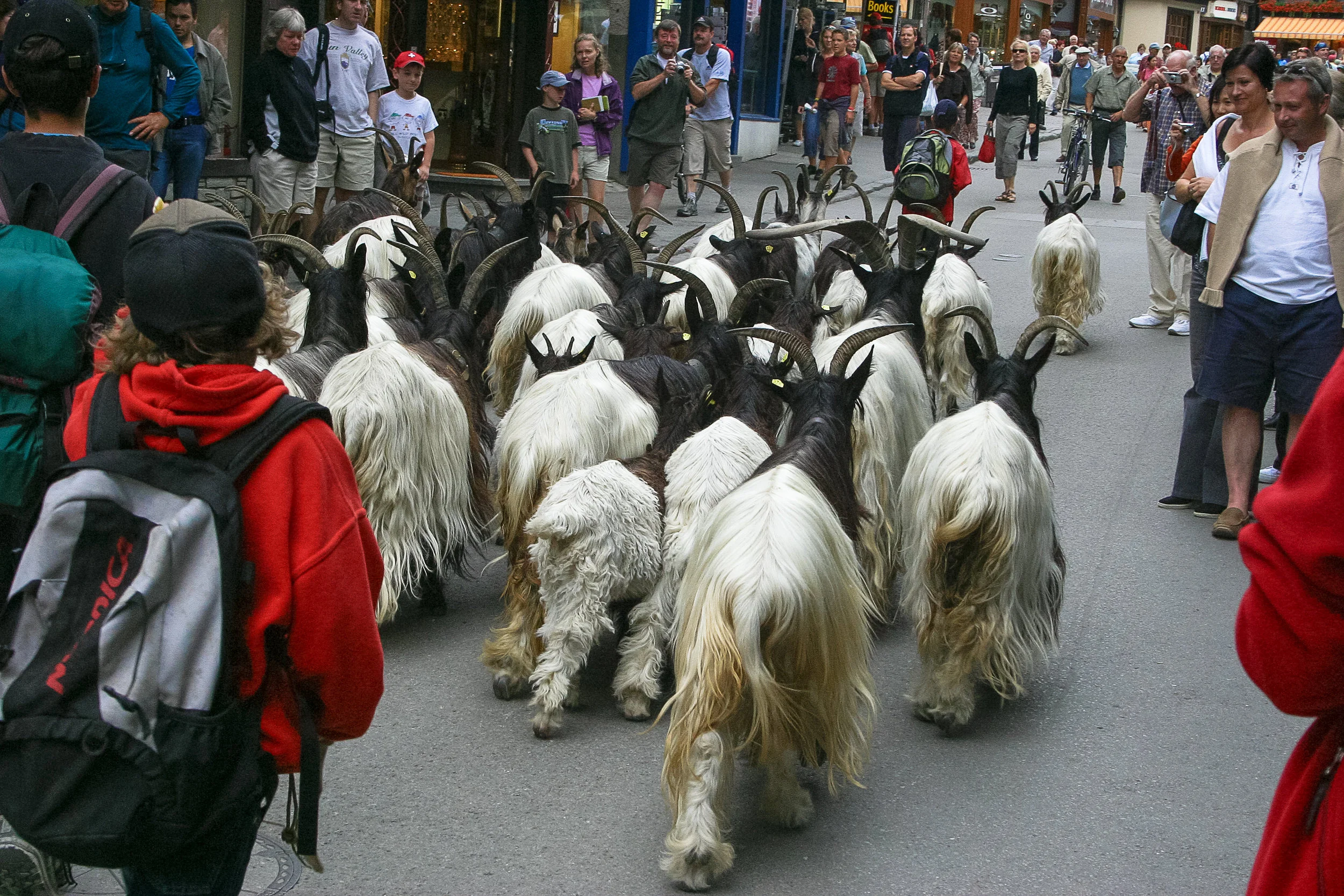 Germany 2006 (1282).jpg