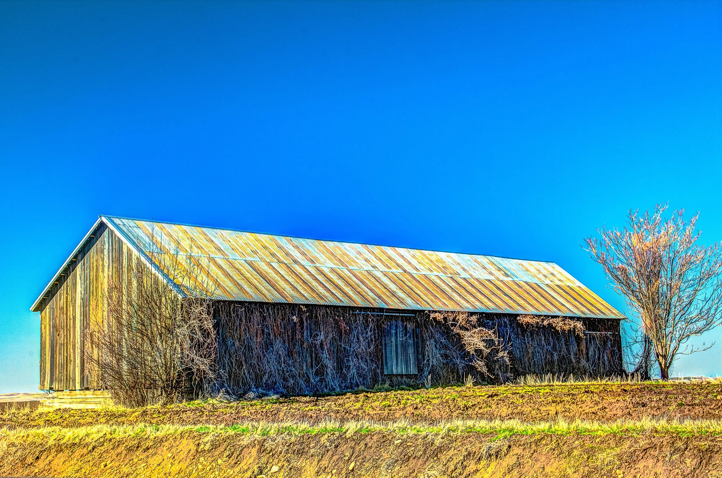 Abeja 3 old farm shed 1.jpg