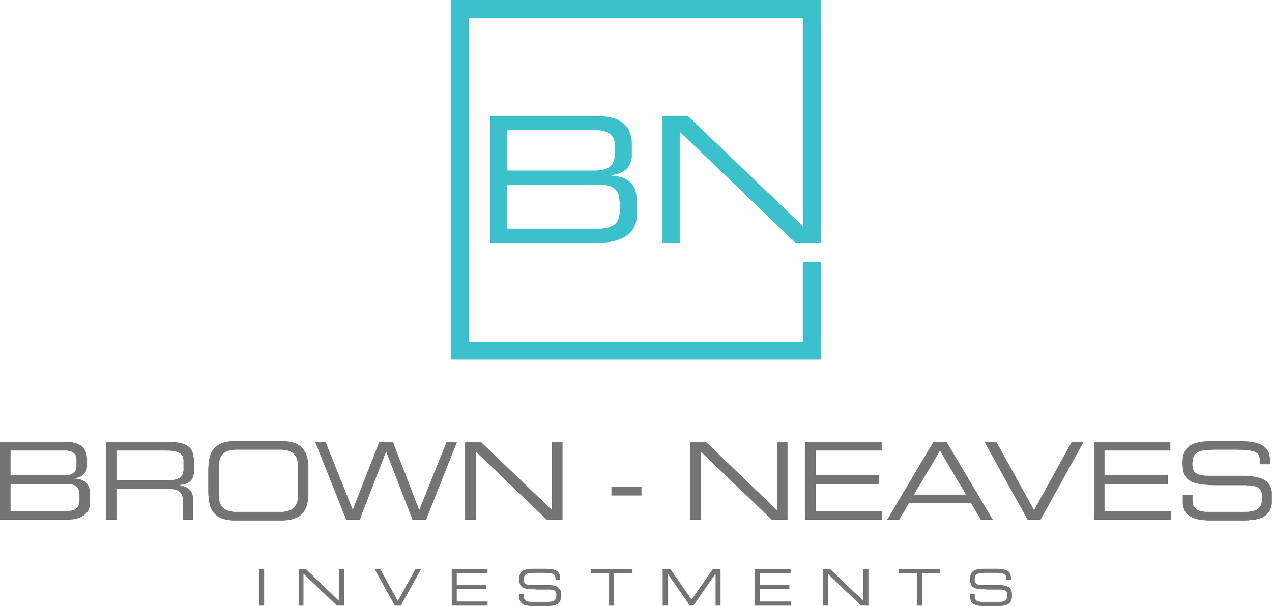 BN INVESTMENTS