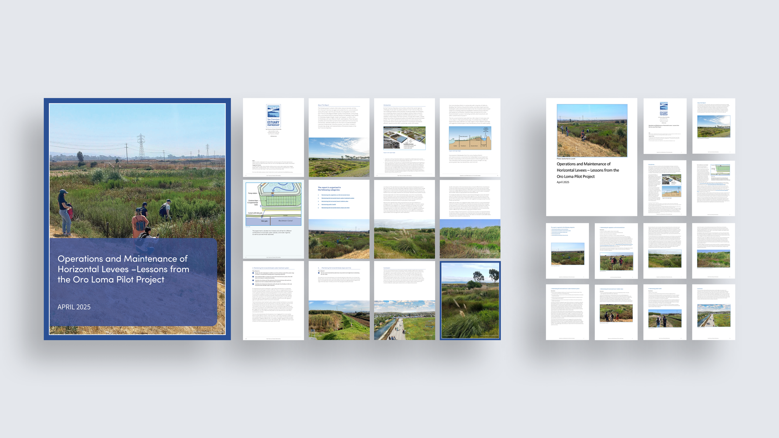 MT_Horizontal Levee_OM Report 16_9@2x.png