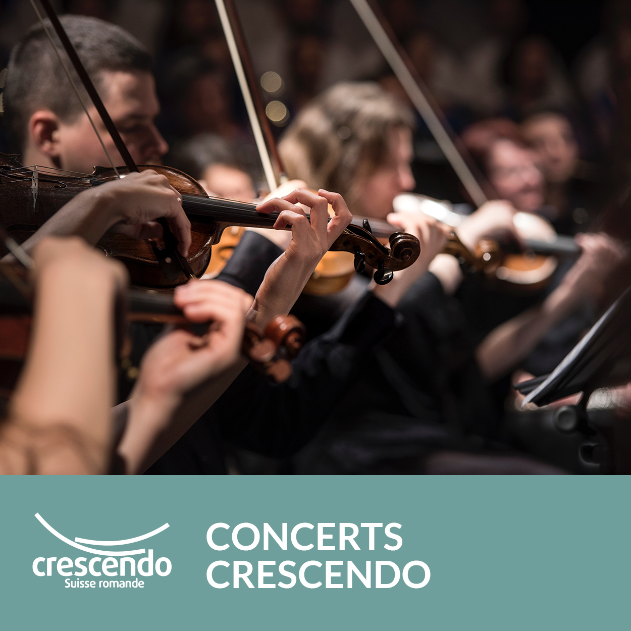 Concert Crescendo.jpg