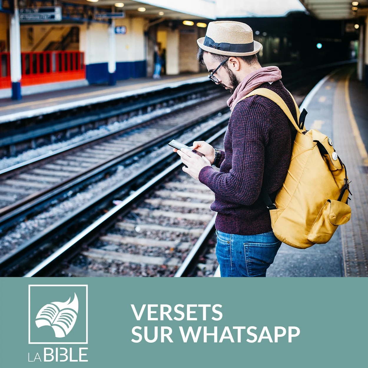 Mettre l'image de la vignette du produit avec le nom du produit ou alors l'image de la vignette seul (sans le nom du produit et sans le logo). Aucune autres images que cela ne peut être mise ici !