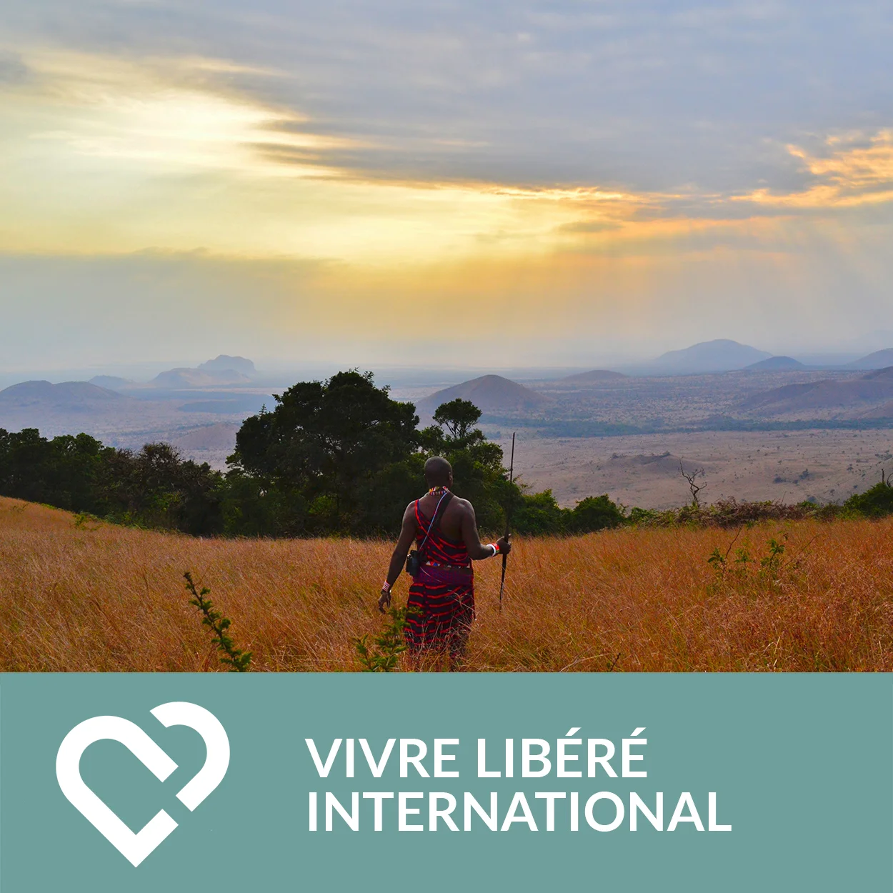 Mettre l'image de la vignette du produit avec le nom du produit ou alors l'image de la vignette seul (sans le nom du produit et sans le logo). Aucune autres images que cela ne peut être mise ici !