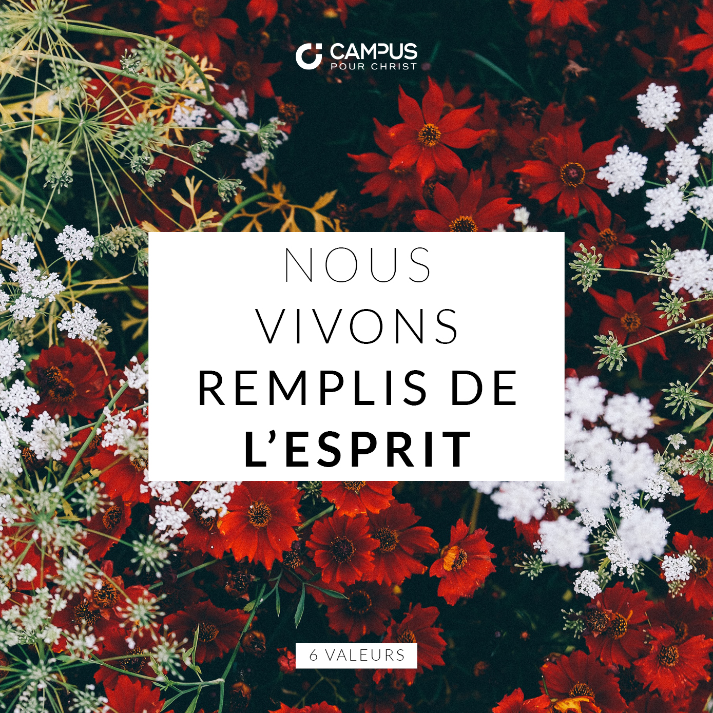  Nous vivons par l'Esprit. Nous faisons place à la direction et à l'action de l'Esprit Saint à travers une relation vivante avec Dieu, en écoutant sa Parole et en nous efforçant de développer un caractère semblable à celui de Jésus. 