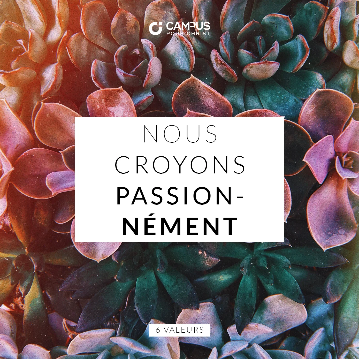  Nous suivons Jésus avec joie, passion et dévotion, prêts à faire ce qu'Il nous dit de faire. Nous voyons grand par la foi, et innovons pour accomplir notre vocation missionnaire : "Faire connaître Jésus". 