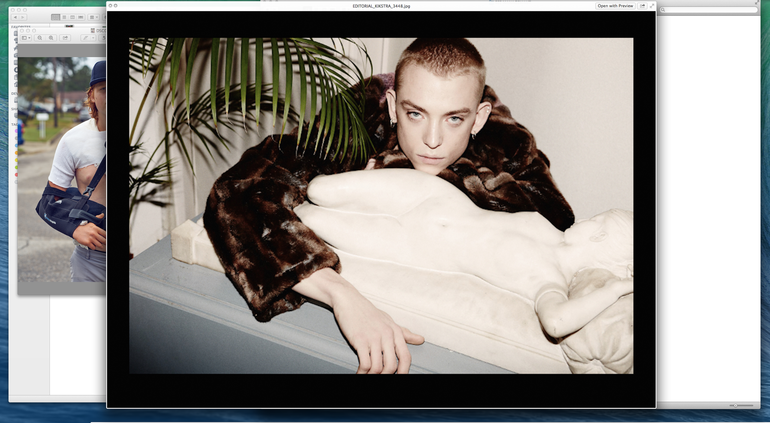 Screen Shot 2023-12-30 at 12.49.44 PM.png