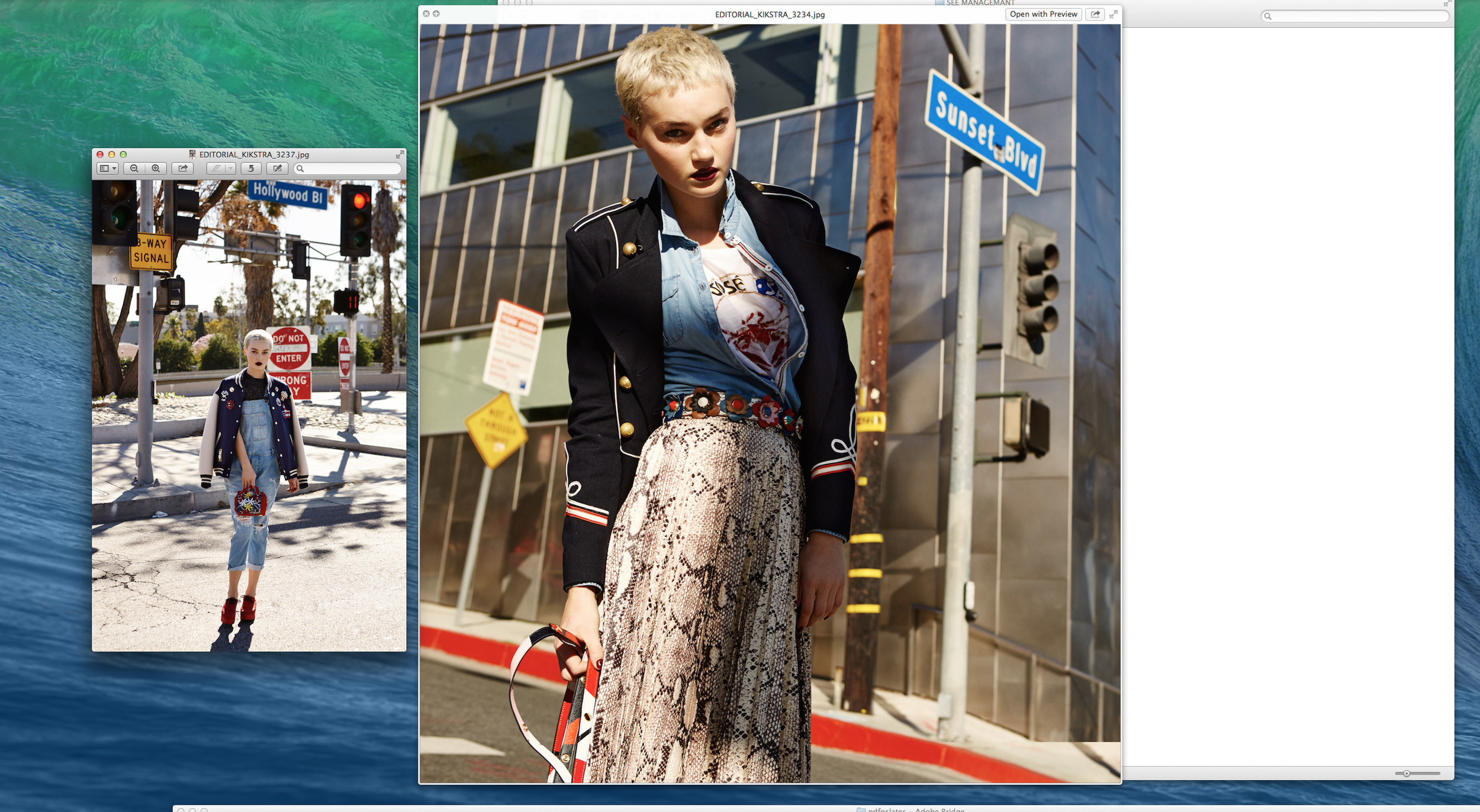 Screen Shot 2023-12-30 at 1.24.20 PM.png