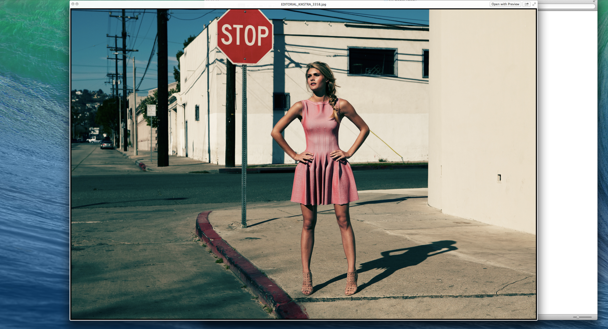 Screen Shot 2023-12-30 at 1.25.13 PM.png