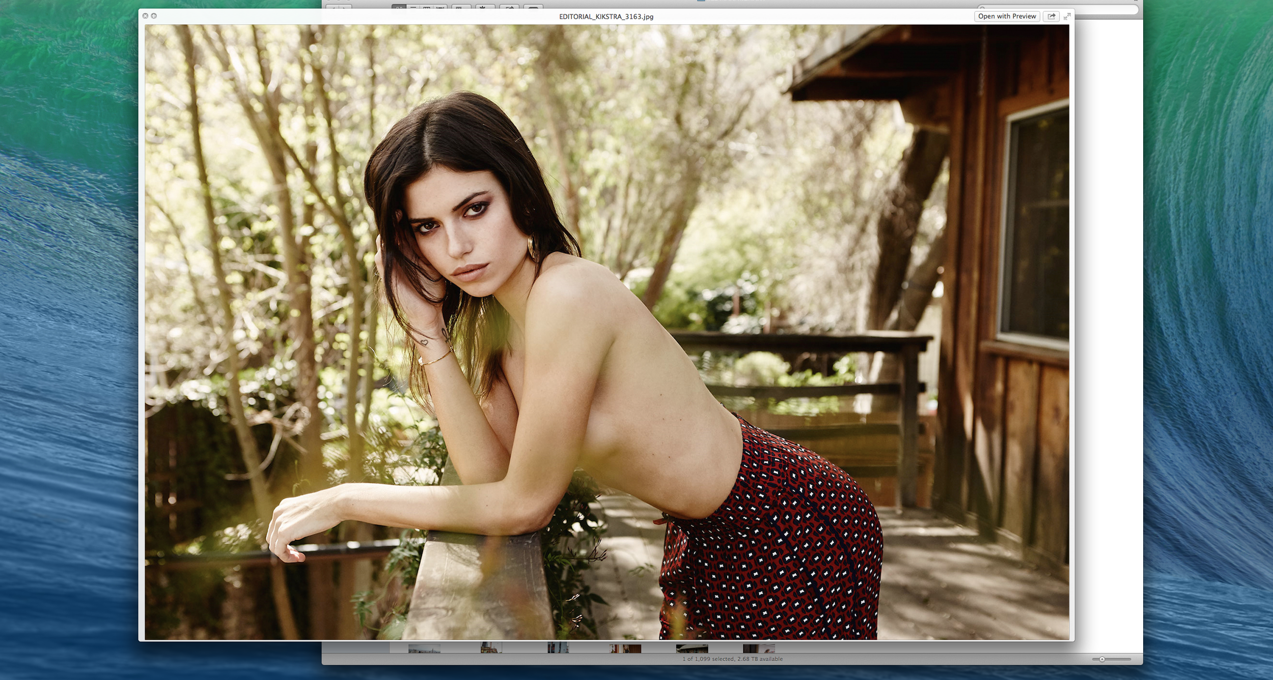 Screen Shot 2023-12-30 at 1.48.20 PM.png