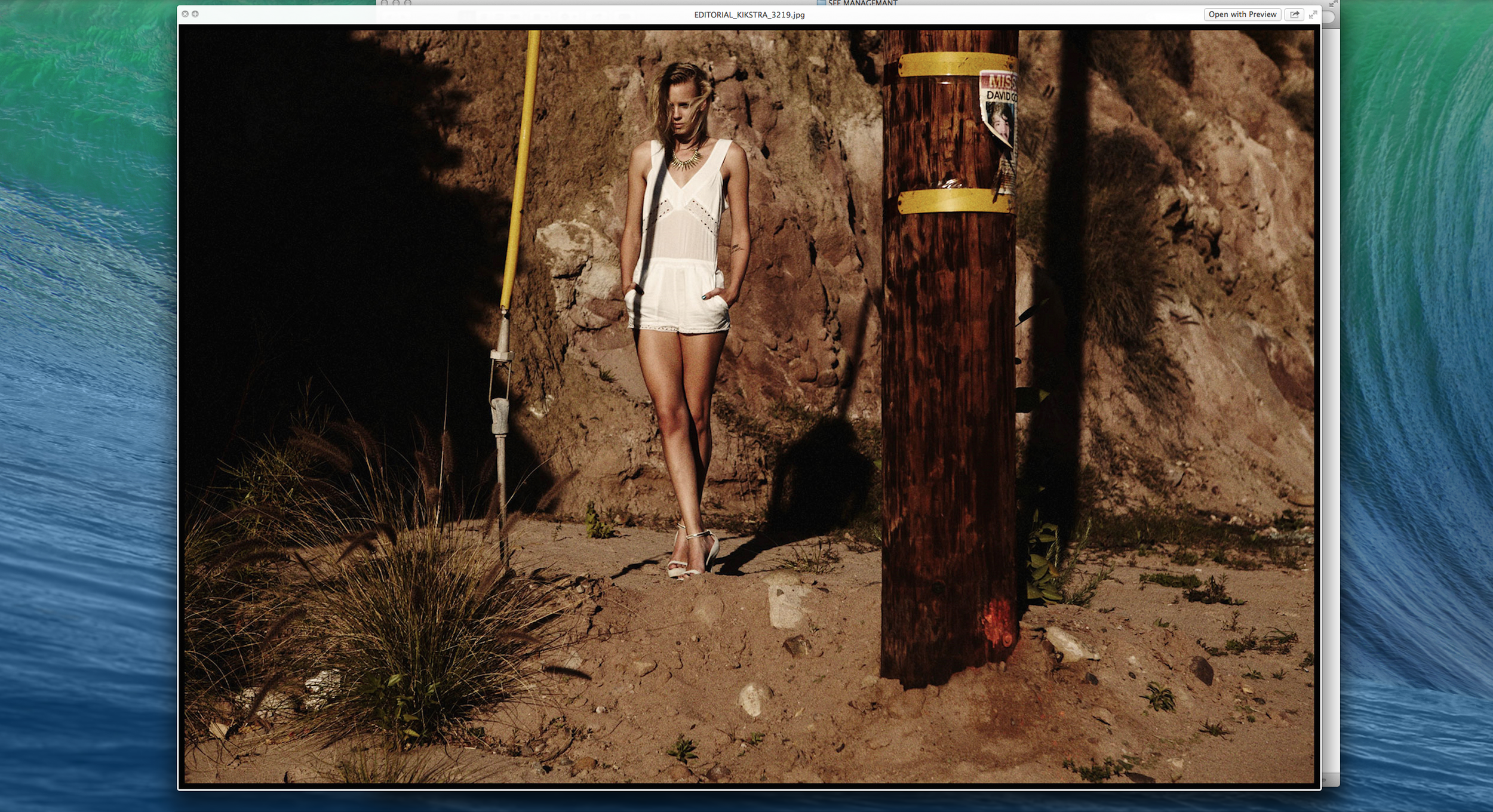 Screen Shot 2023-12-30 at 1.49.01 PM.png