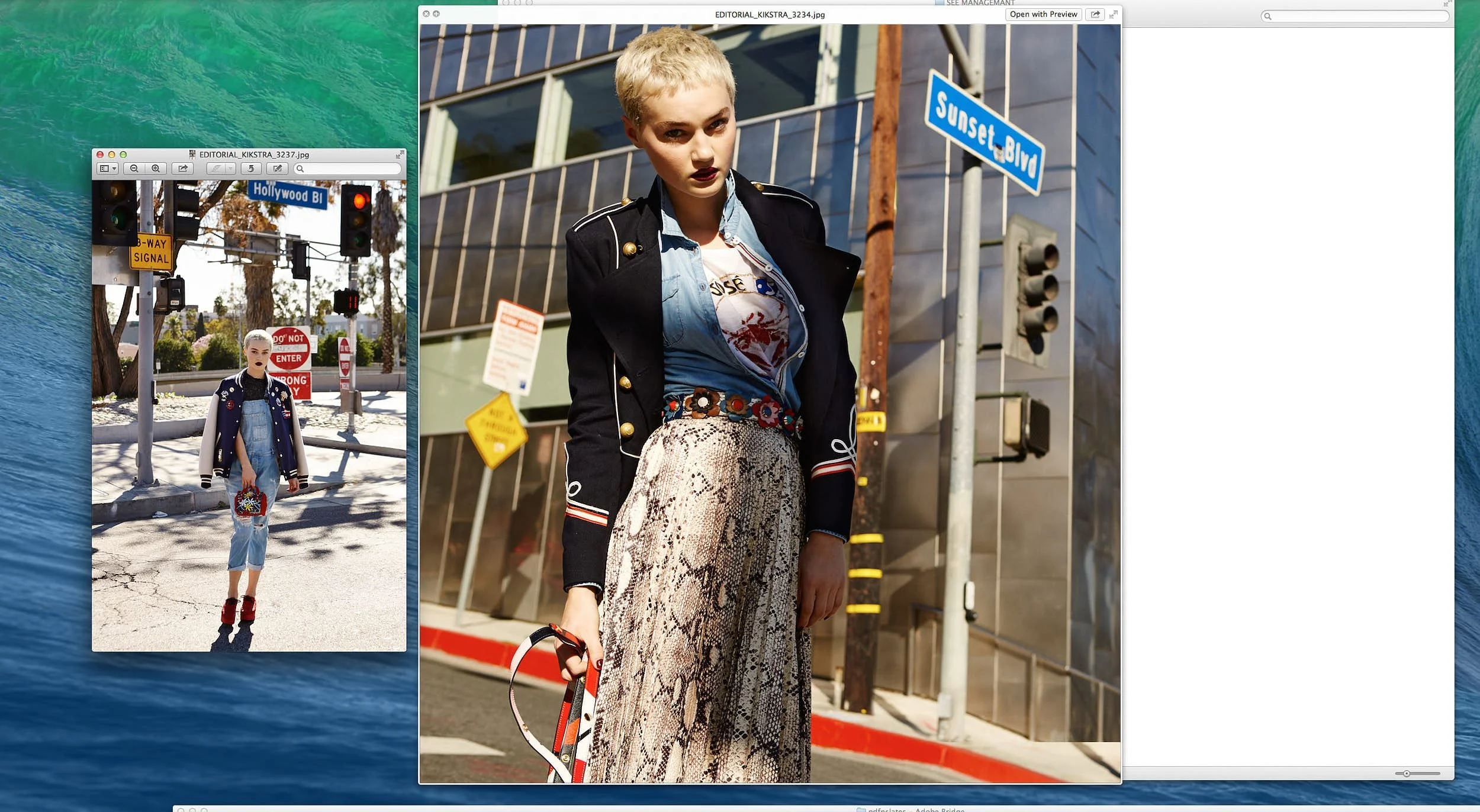 Screen Shot 2023-12-30 at 1.24.20 PM.jpg