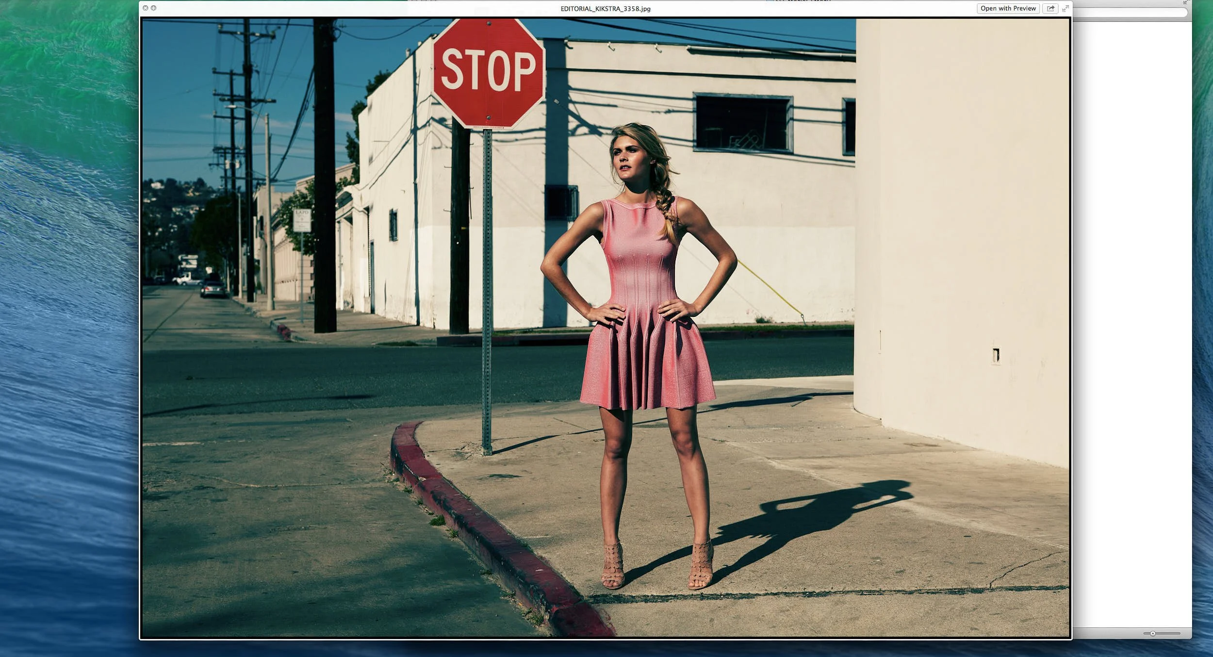 Screen Shot 2023-12-30 at 1.25.13 PM.jpg