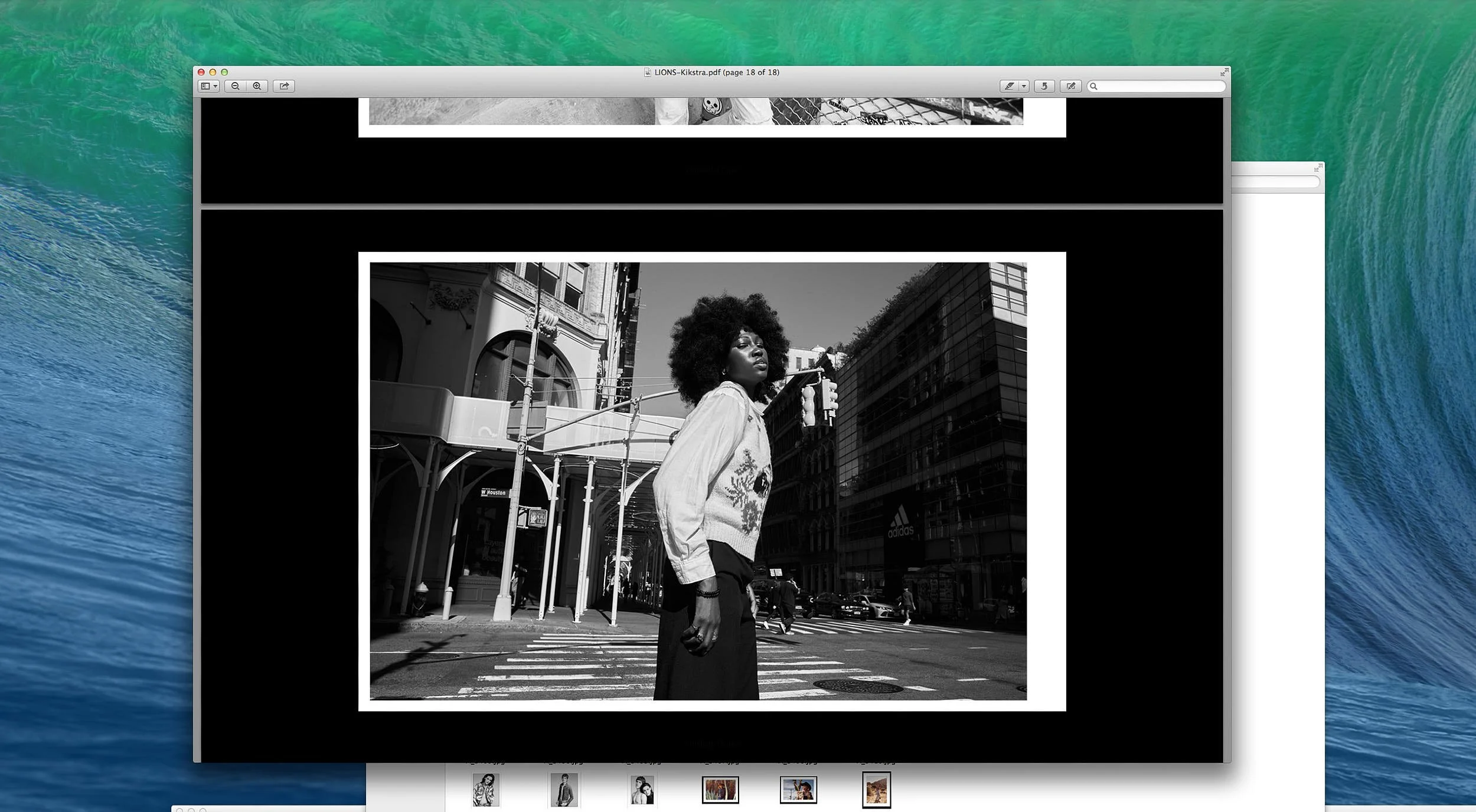 Screen Shot 2023-12-30 at 1.28.14 PM.jpg