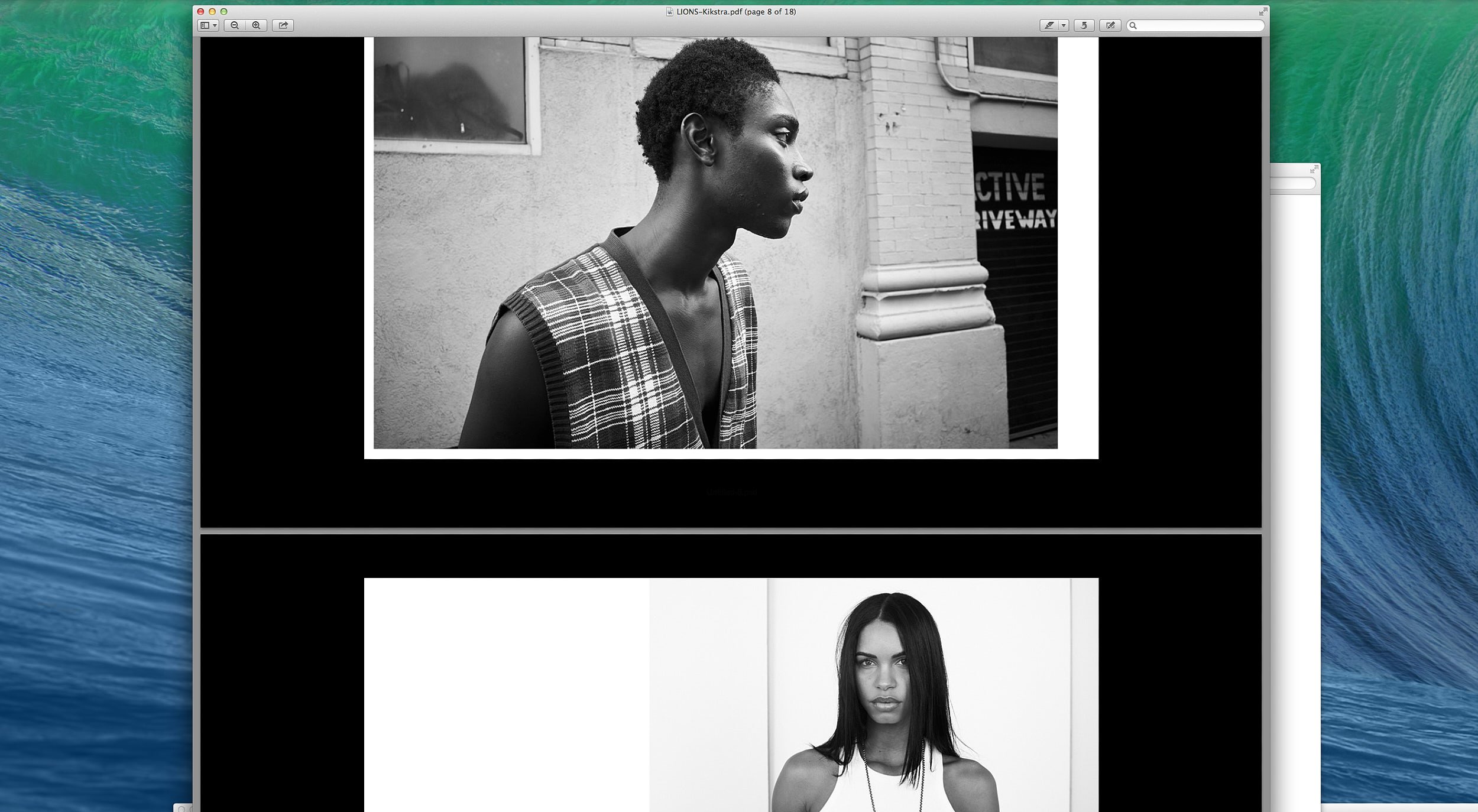 Screen Shot 2023-12-30 at 1.28.46 PM.jpg