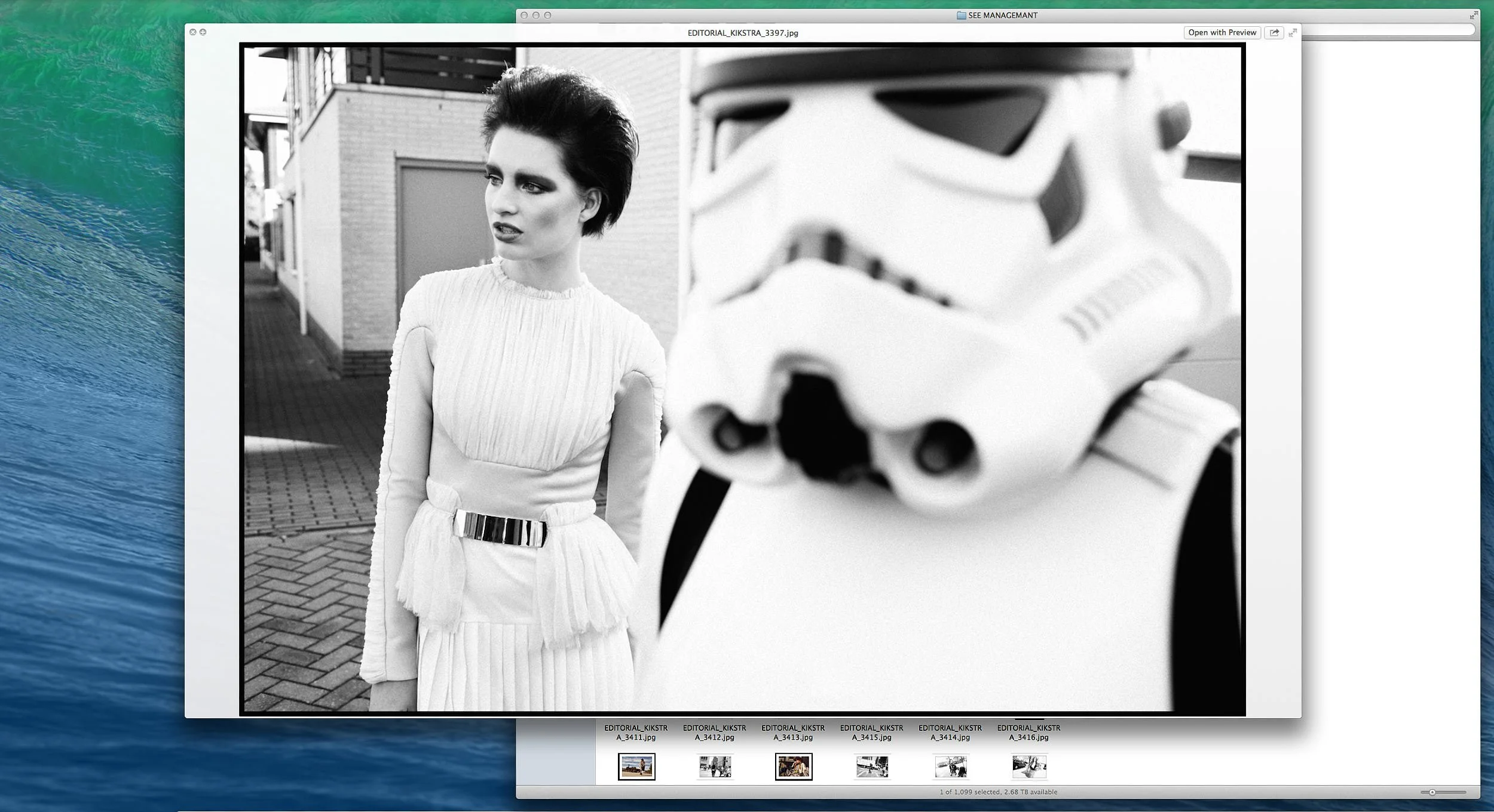 Screen Shot 2023-12-30 at 1.50.39 PM.jpg