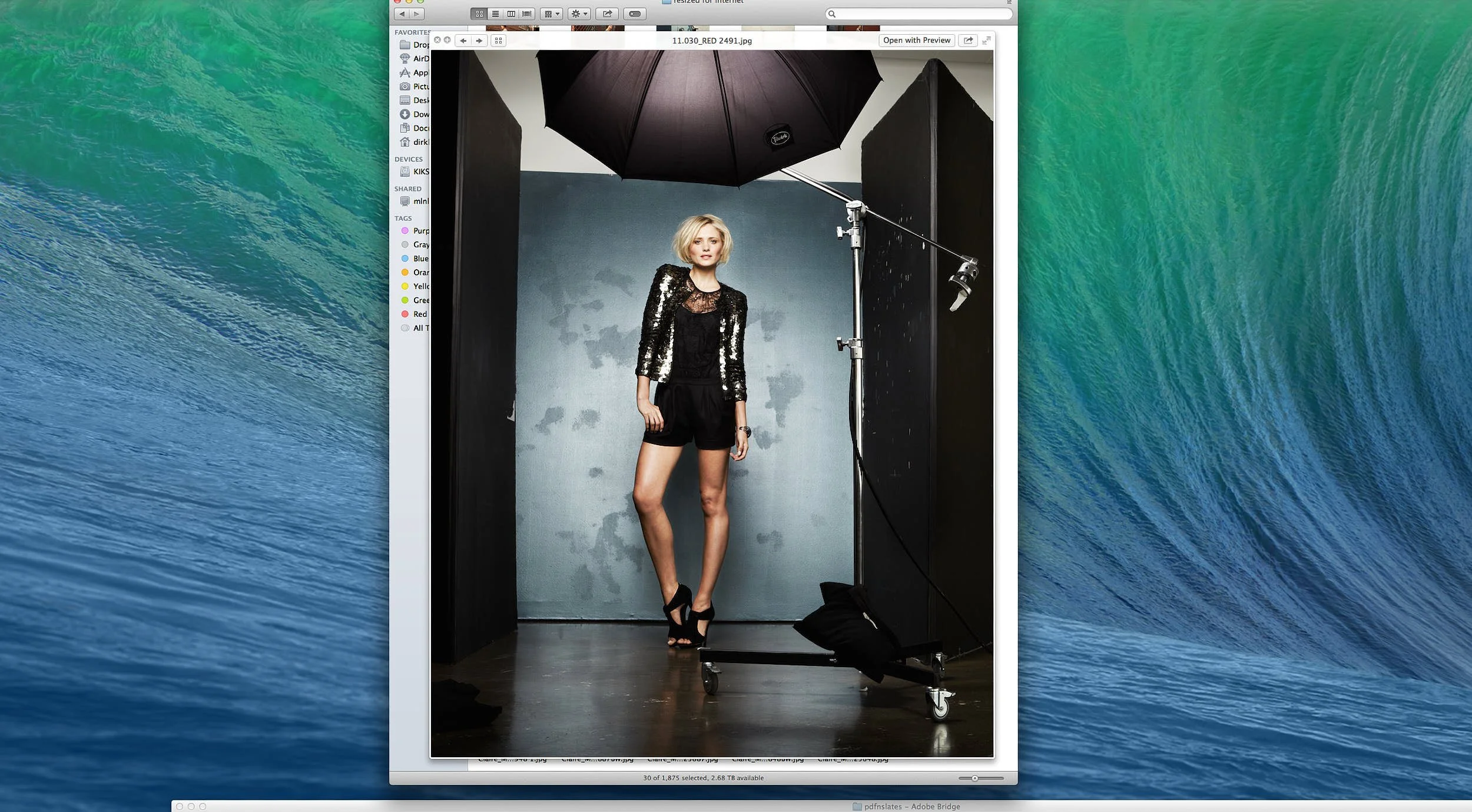 Screen Shot 2023-12-30 at 2.30.47 PM.jpg