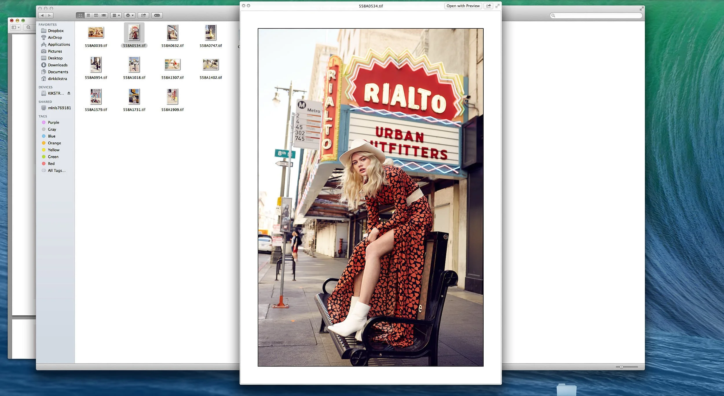 Screen Shot 2023-12-30 at 12.11.58 PM.jpg