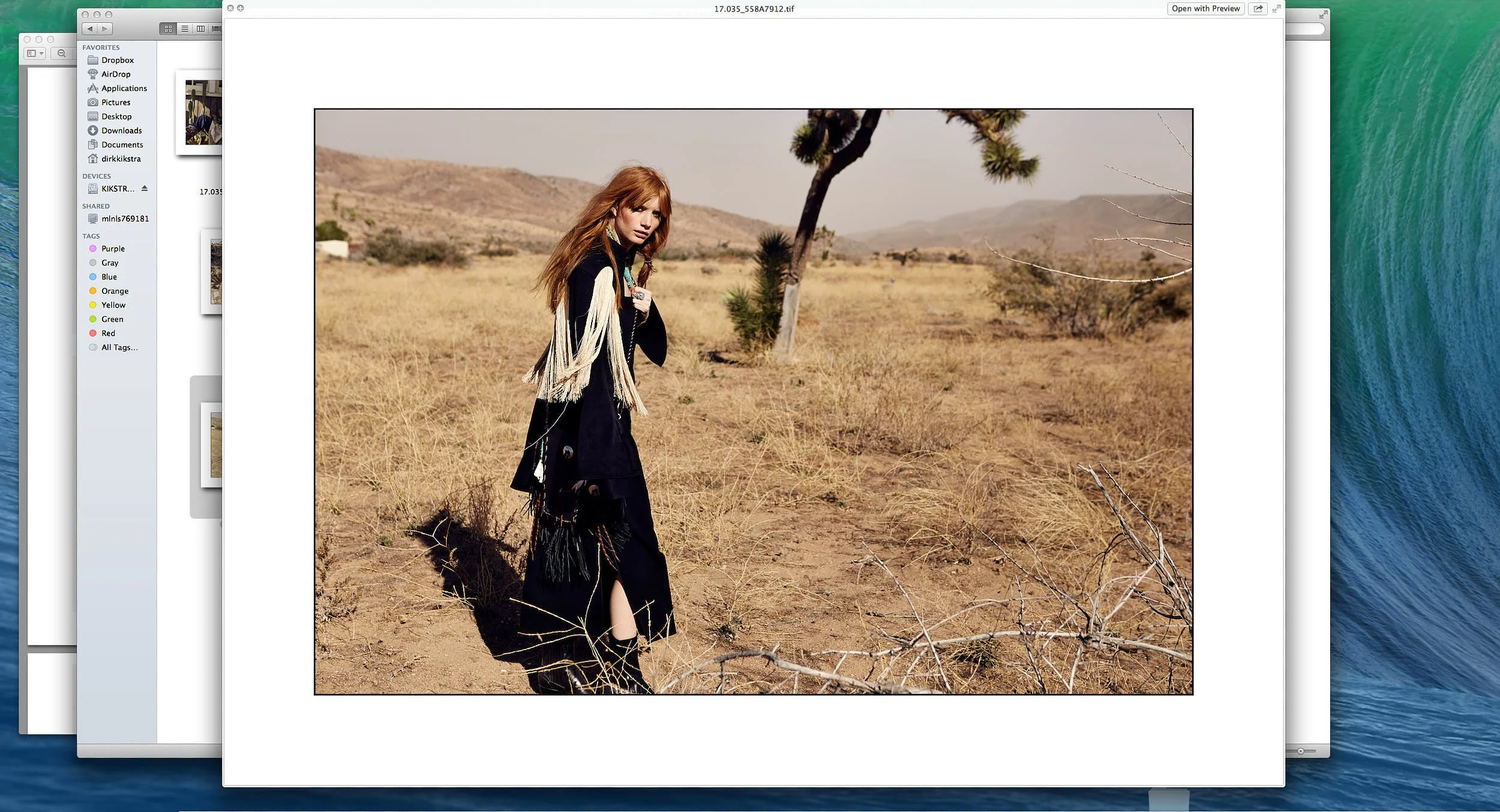 Screen Shot 2023-12-30 at 12.37.45 PM.jpg