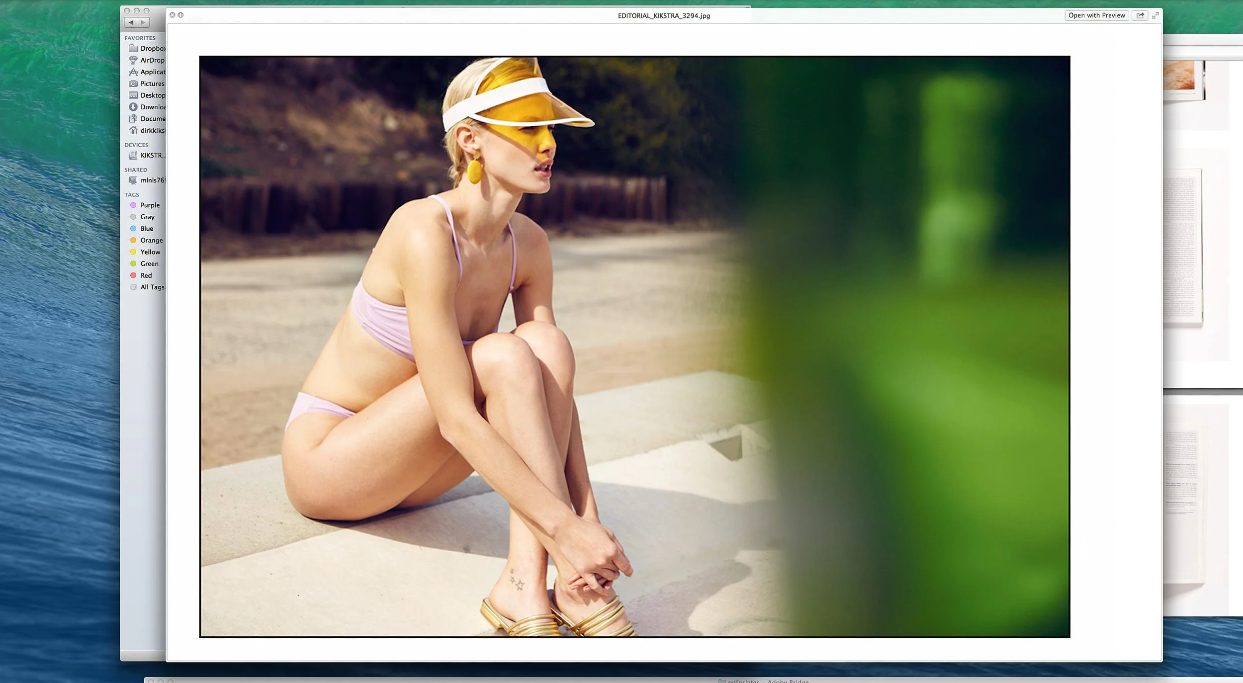 Screen Shot 2023-12-30 at 12.46.05 PM.jpg