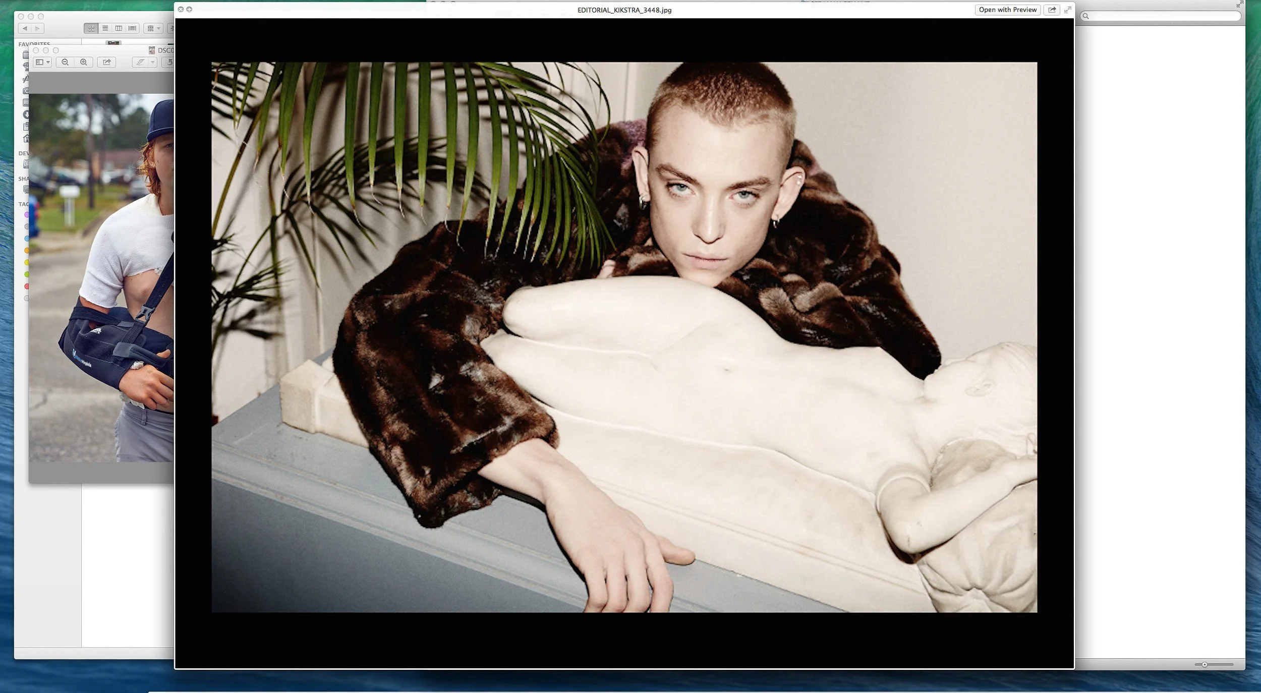 Screen Shot 2023-12-30 at 12.49.44 PM.jpg