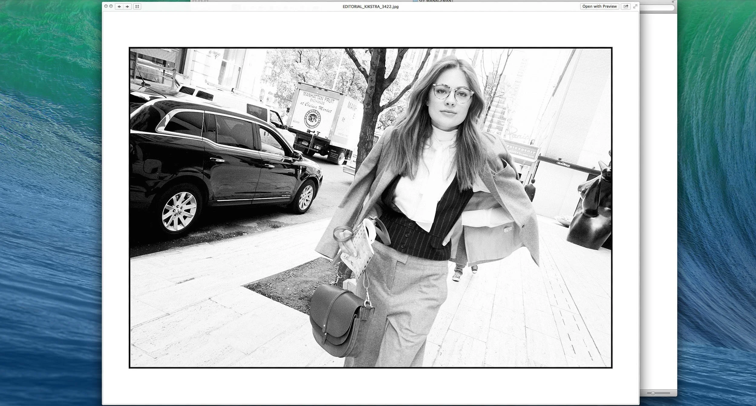 Screen Shot 2023-12-30 at 1.49.52 PM.jpg