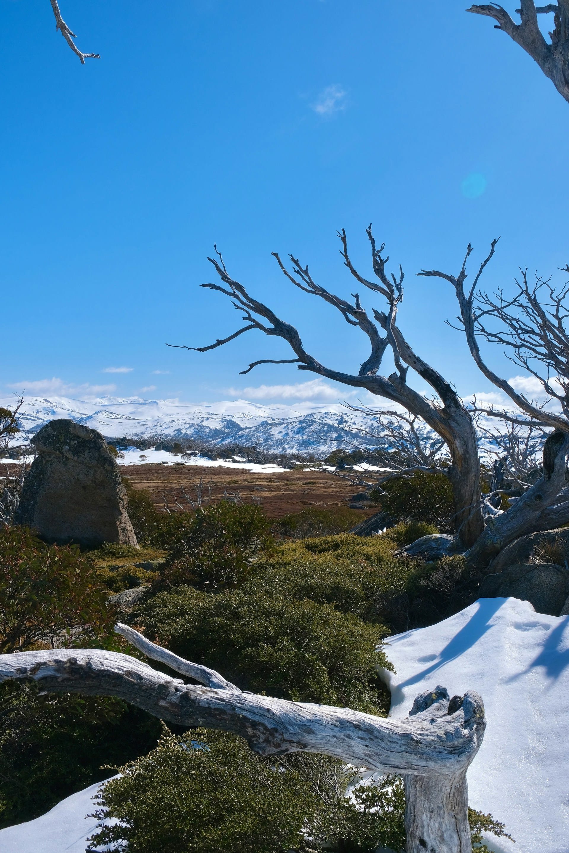 Mount Kosciuszko, NSW