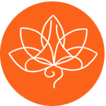 orange.jpg