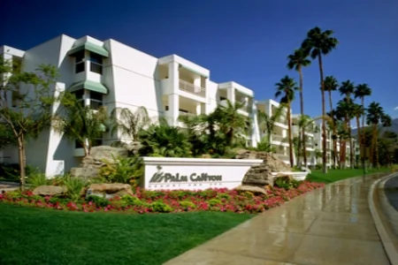 palm13.jpg