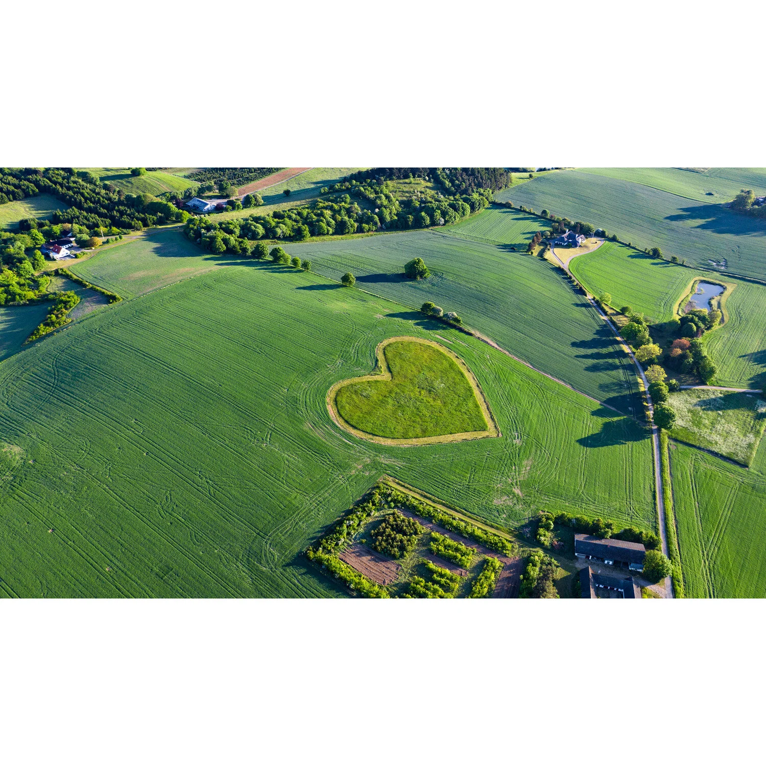 Sommerhjerte