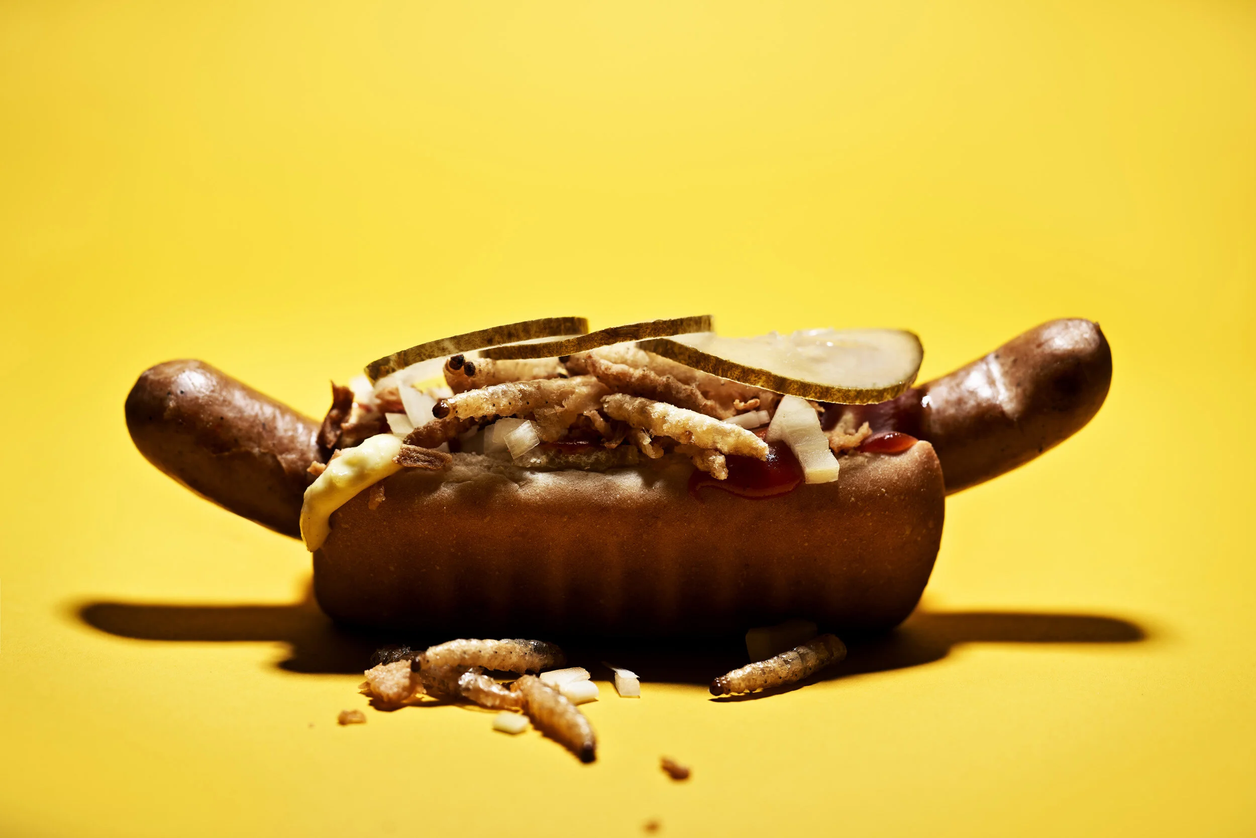  Sustainable foods. Meal worm hot dog for Zetland                                