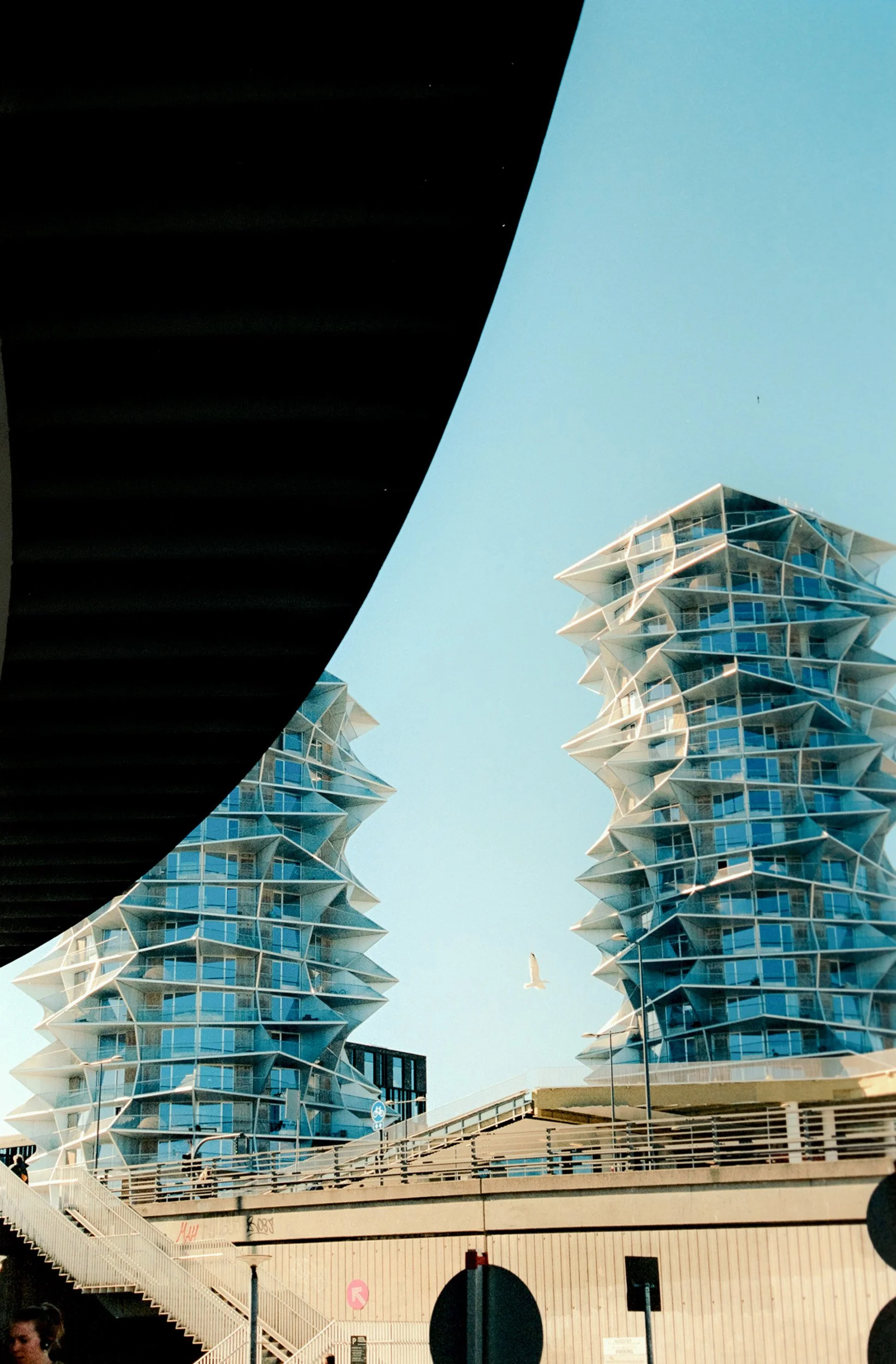 _DSC9885W copy 2.jpg