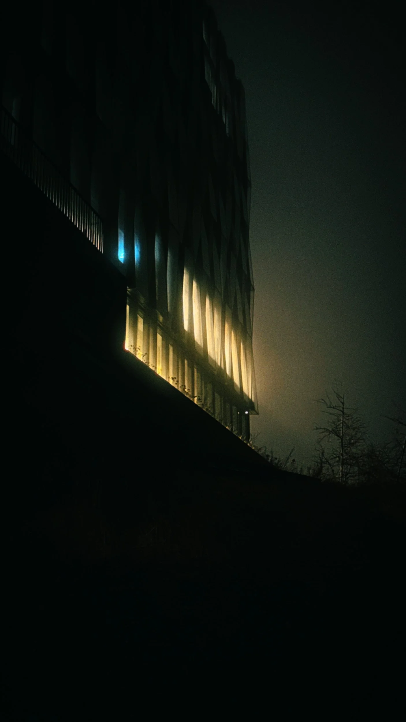 dehancer-1772066878425 copy.jpg