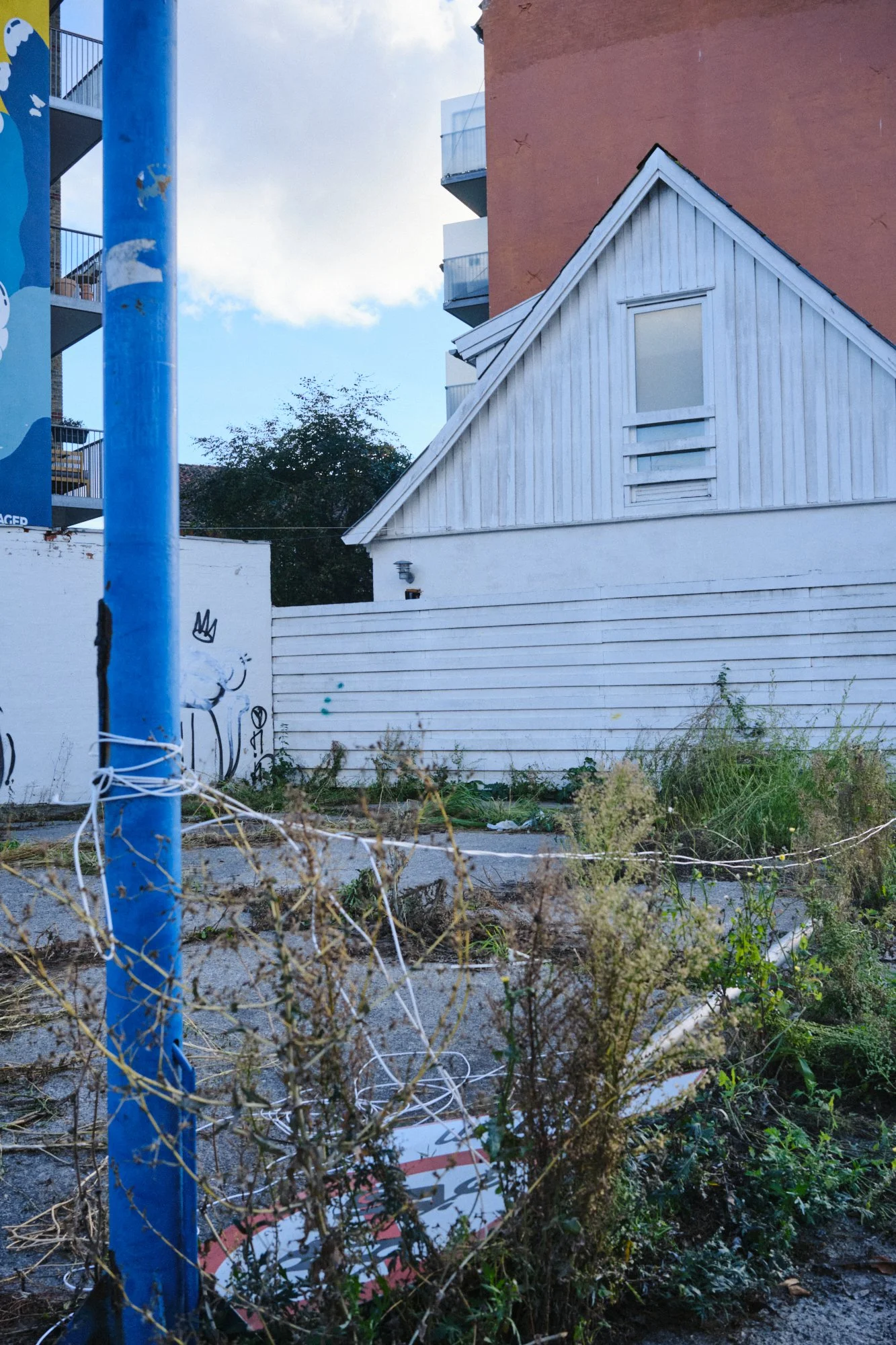 DSCF8175.jpg