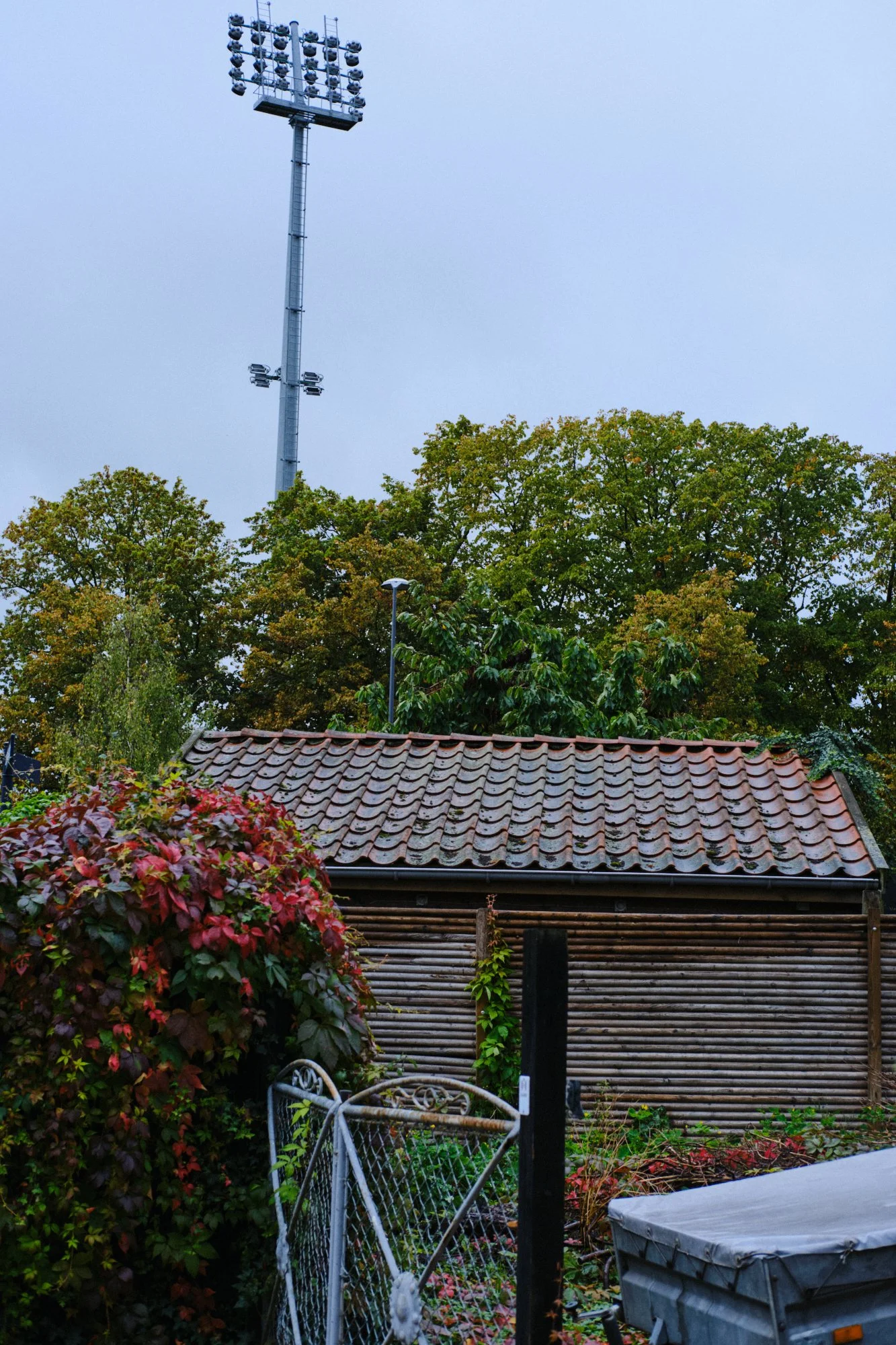 MIN_021026_0137.jpg