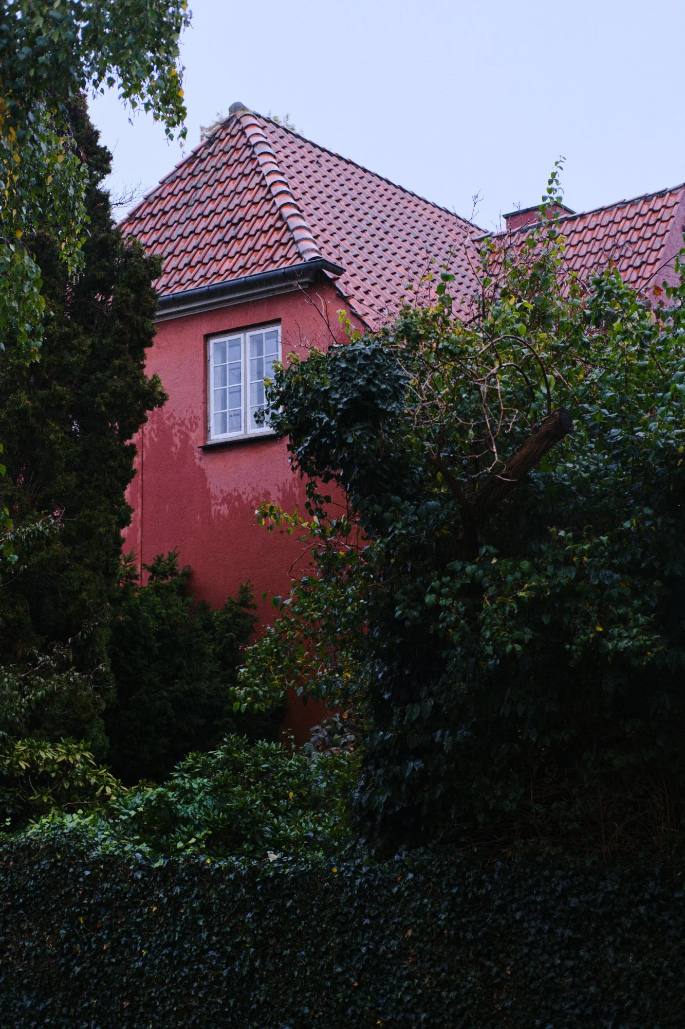 MIN_021026_0086.jpg