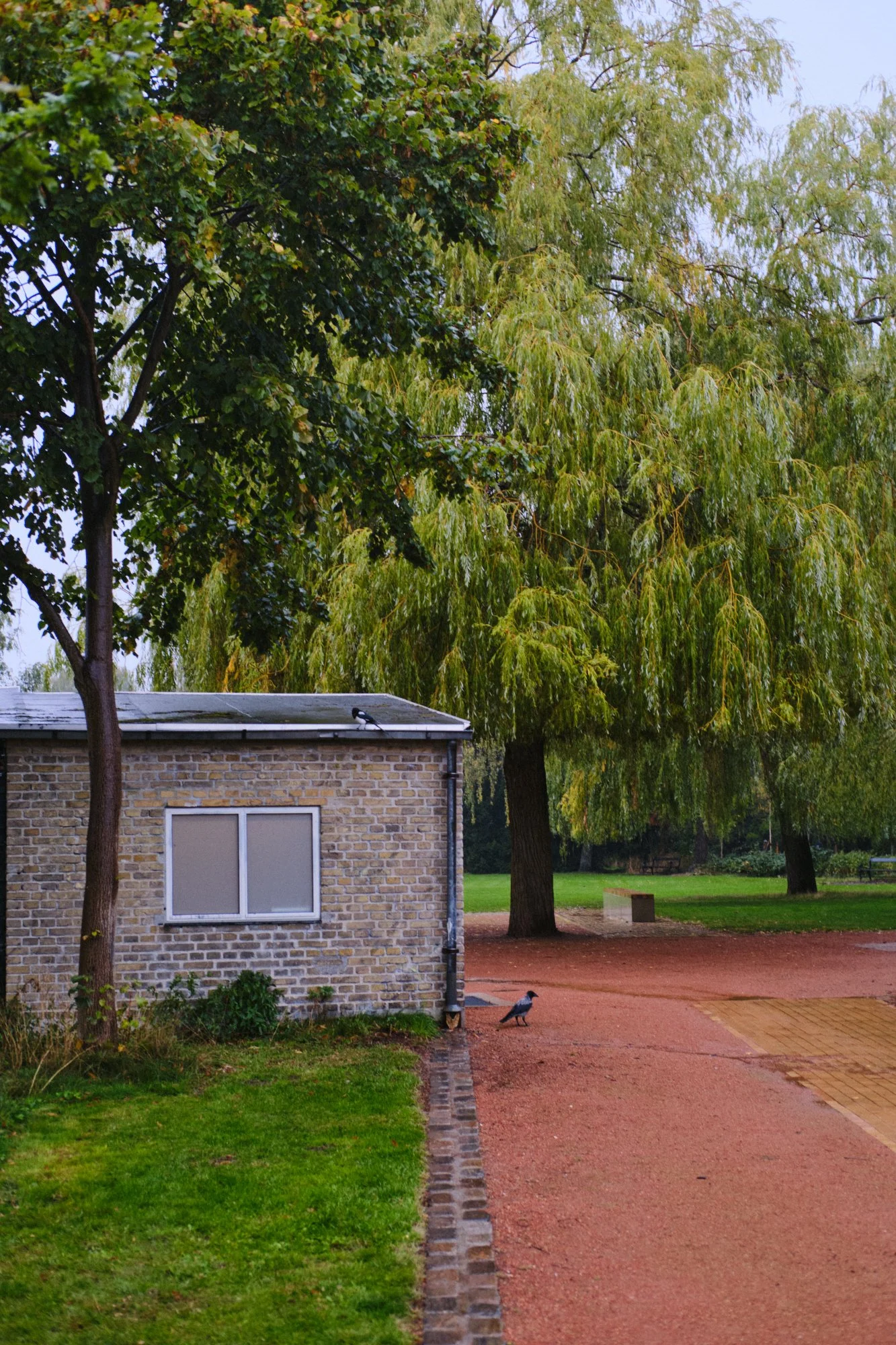 MIN_021026_0074.jpg